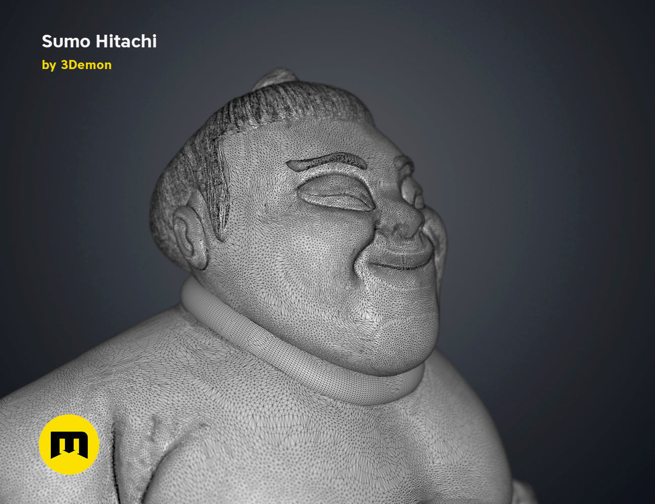 Sumo Hitachi - 3D print model  3D print model_18
