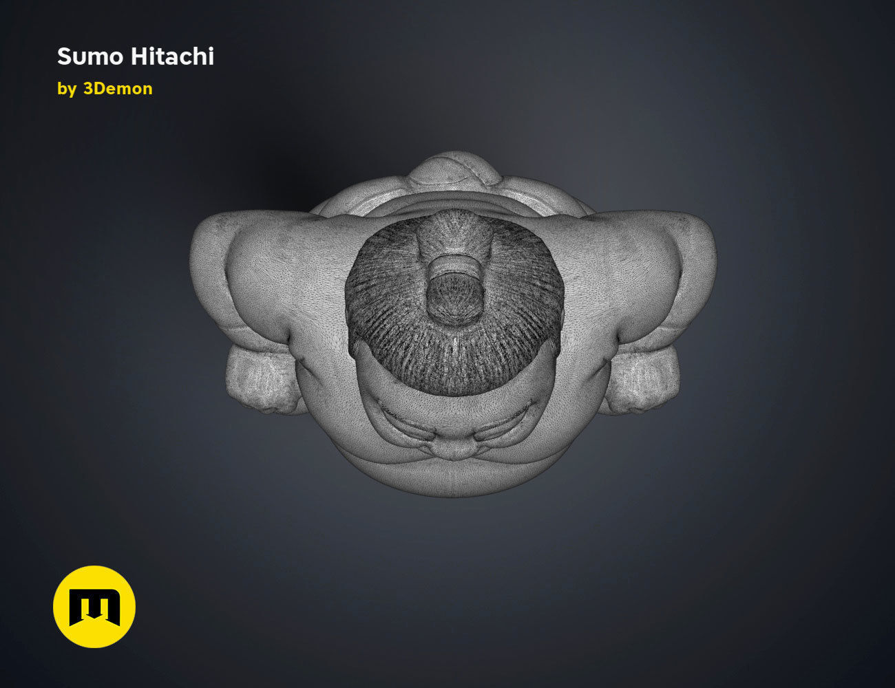 Sumo Hitachi - 3D print model  3D print model_21