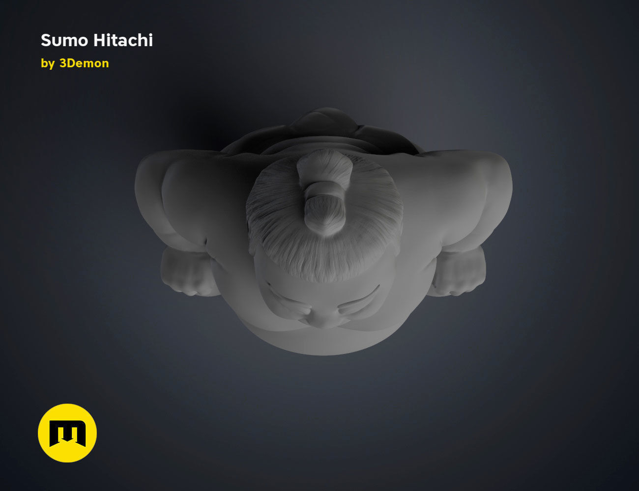 Sumo Hitachi - 3D print model  3D print model_17
