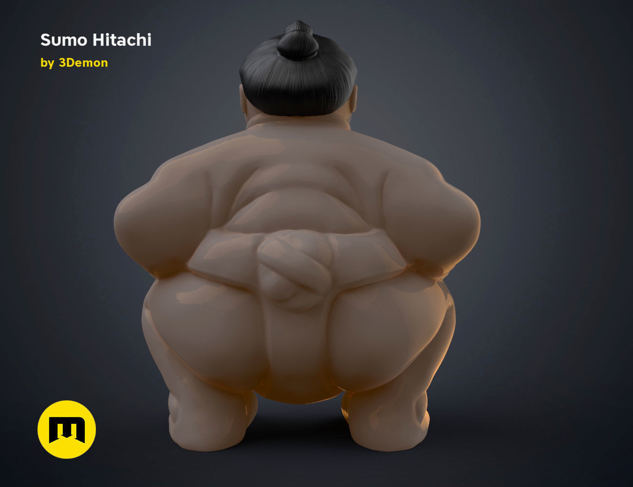 Sumo Hitachi - 3D print model  3D print model_4