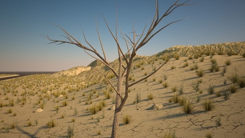 Desert road 3D model_5