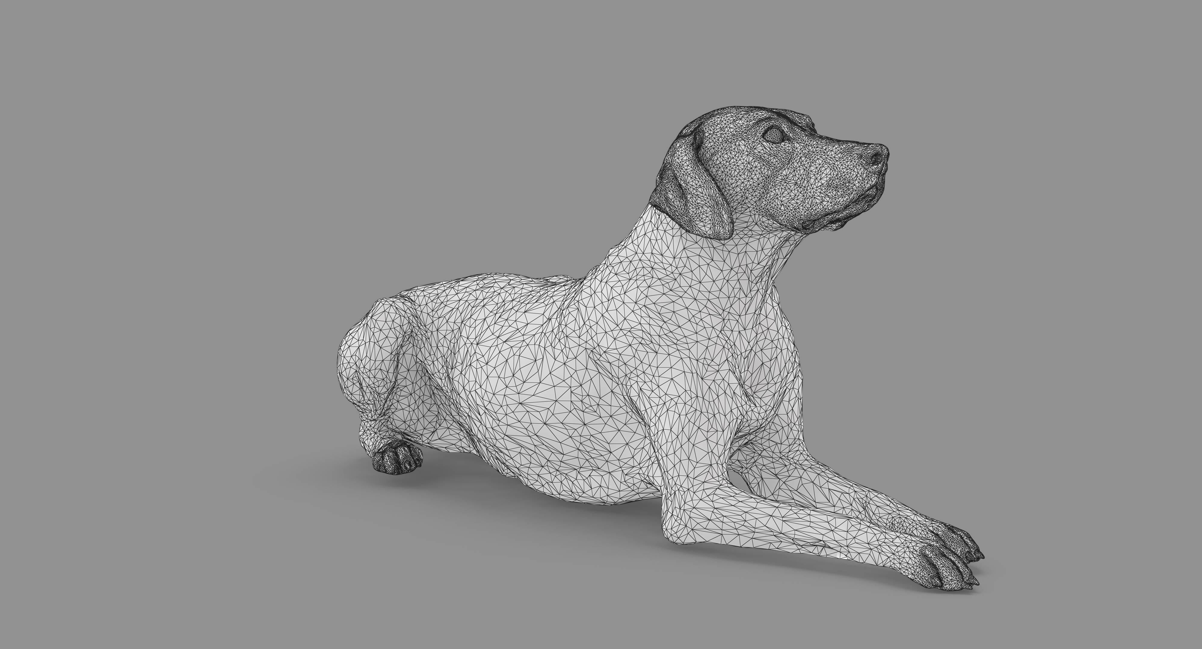 Dalmatian Lying Dog Low-poly 3D model_52
