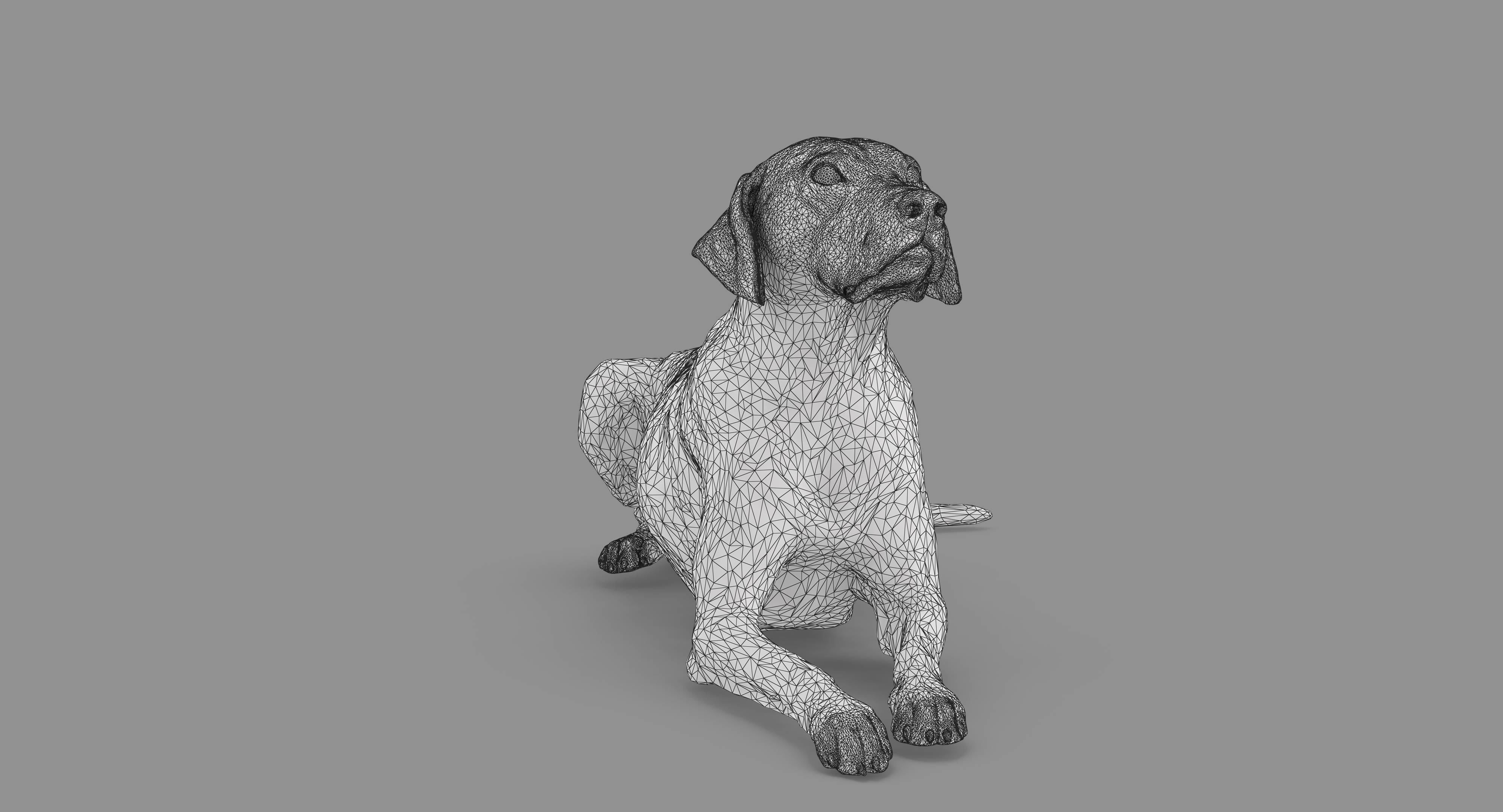 Dalmatian Lying Dog Low-poly 3D model_48