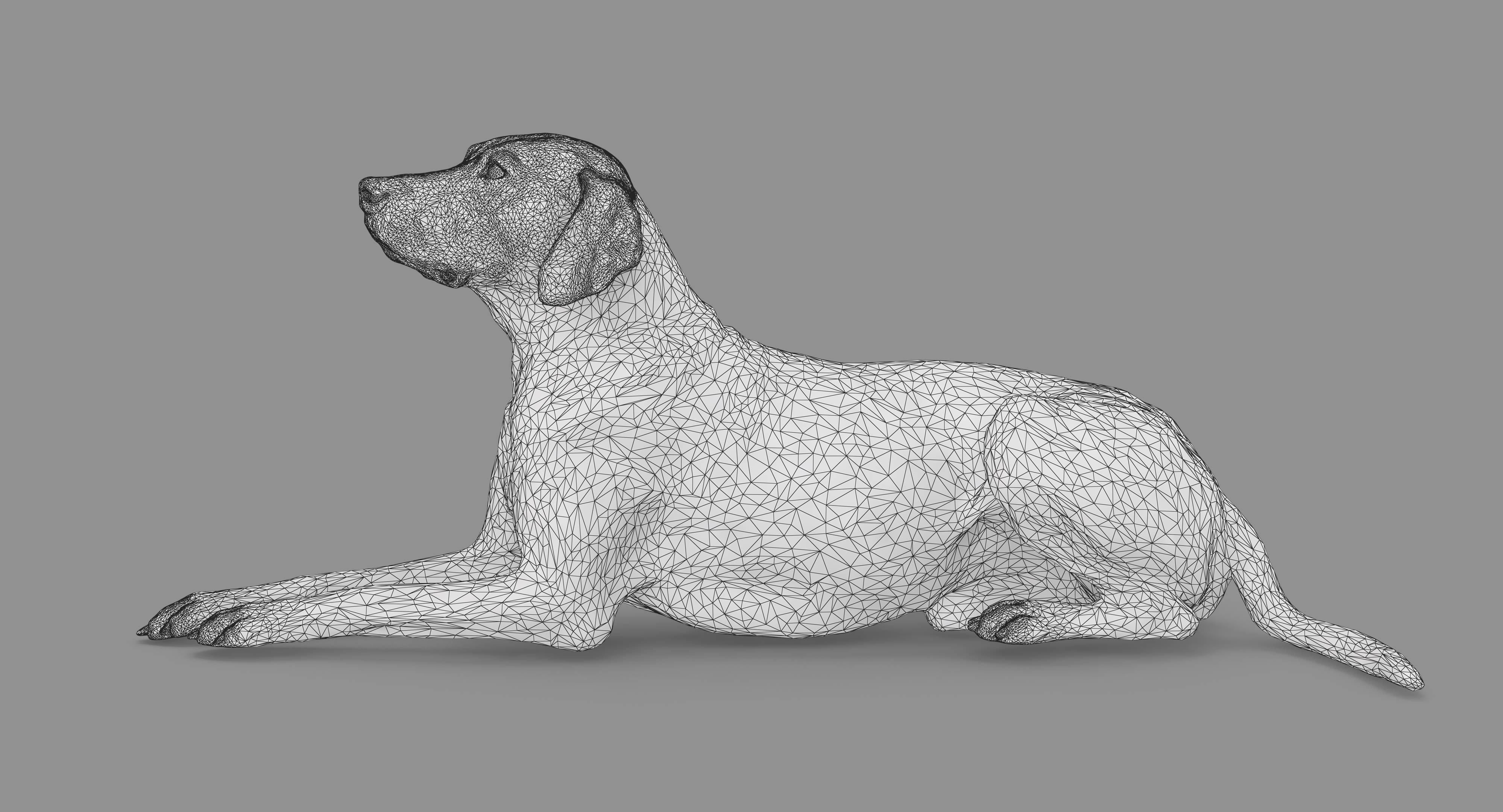 Dalmatian Lying Dog Low-poly 3D model_82