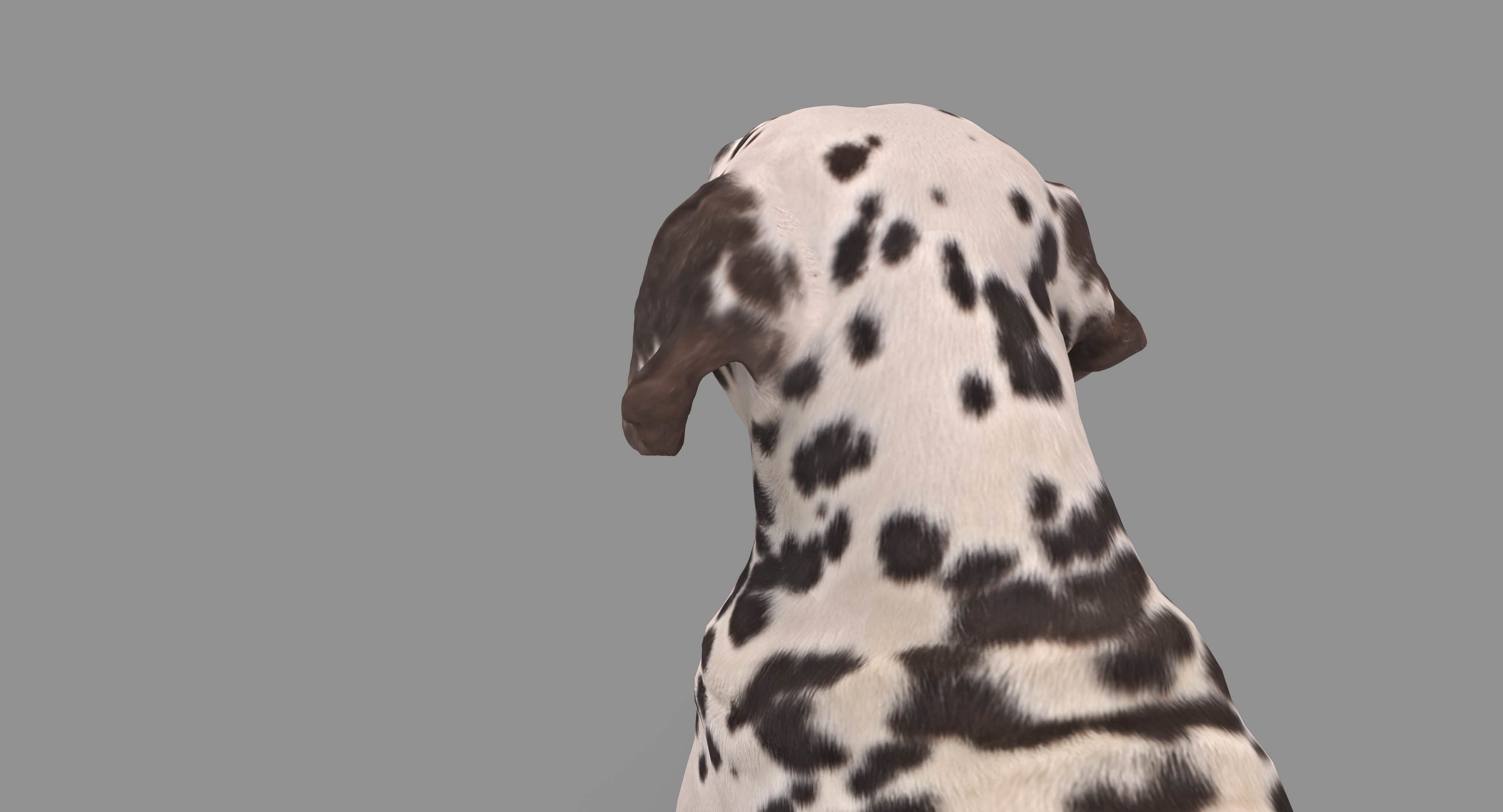 Dalmatian Lying Dog Low-poly 3D model_105