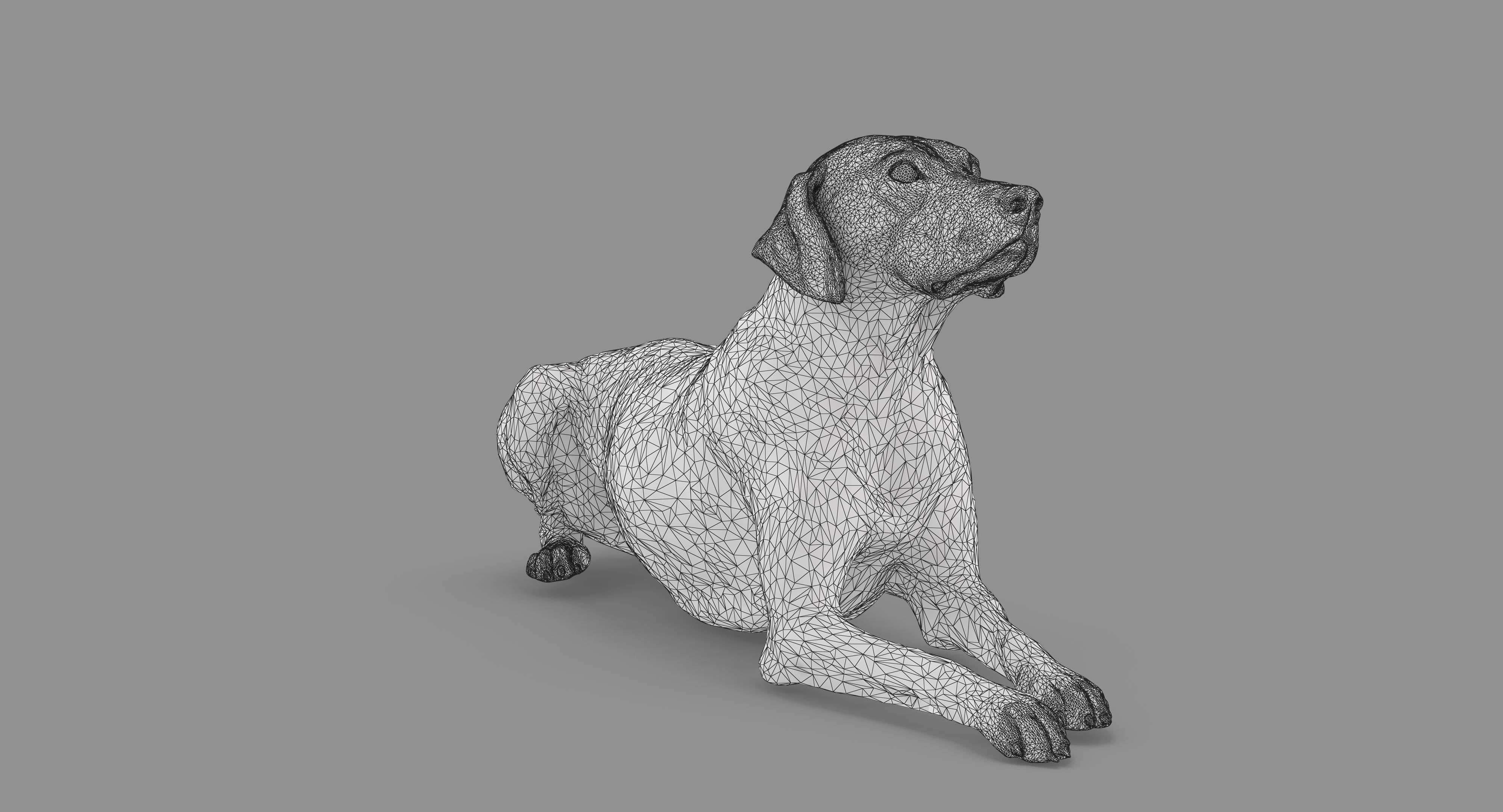 Dalmatian Lying Dog Low-poly 3D model_50