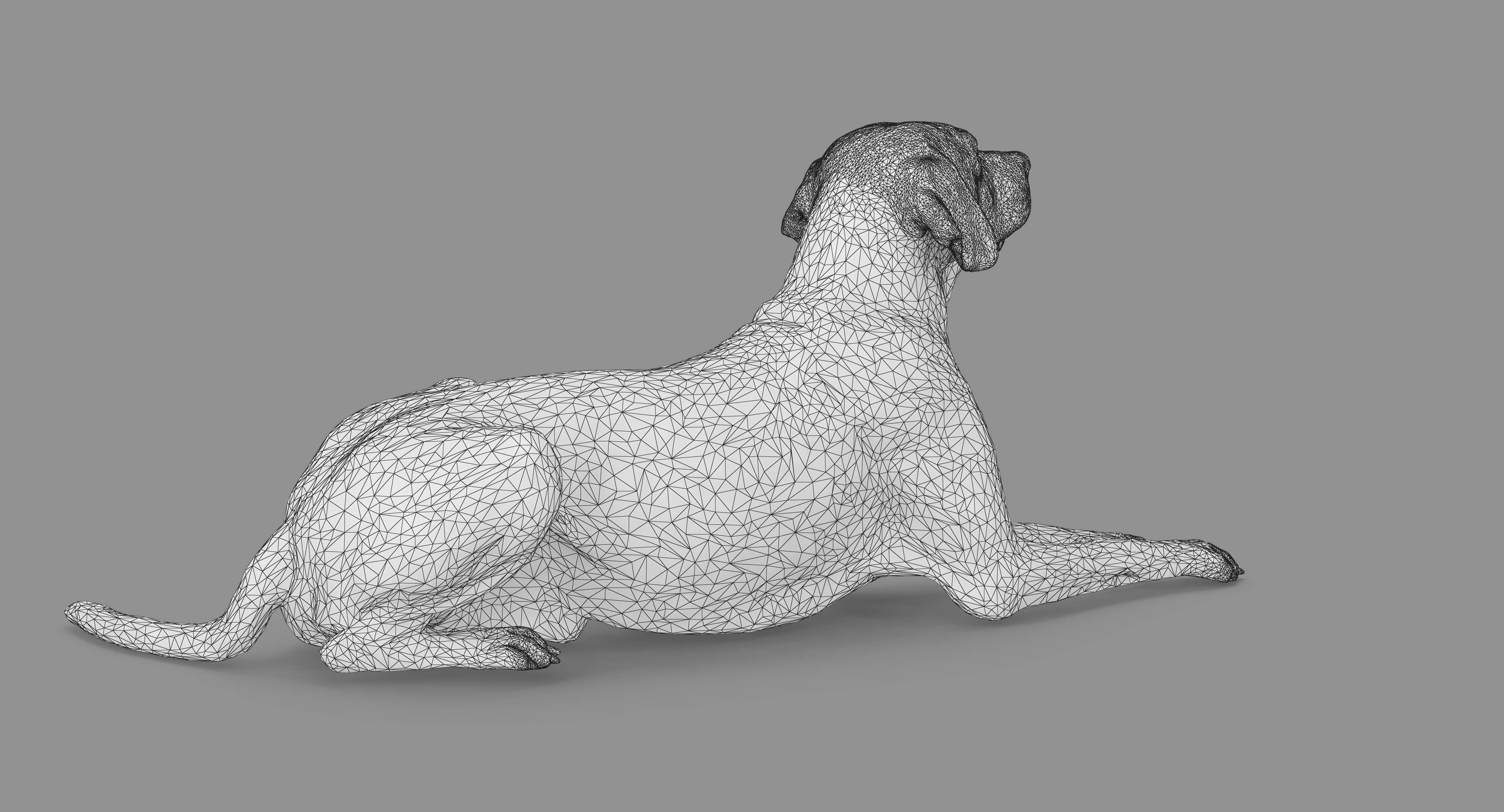 Dalmatian Lying Dog Low-poly 3D model_62