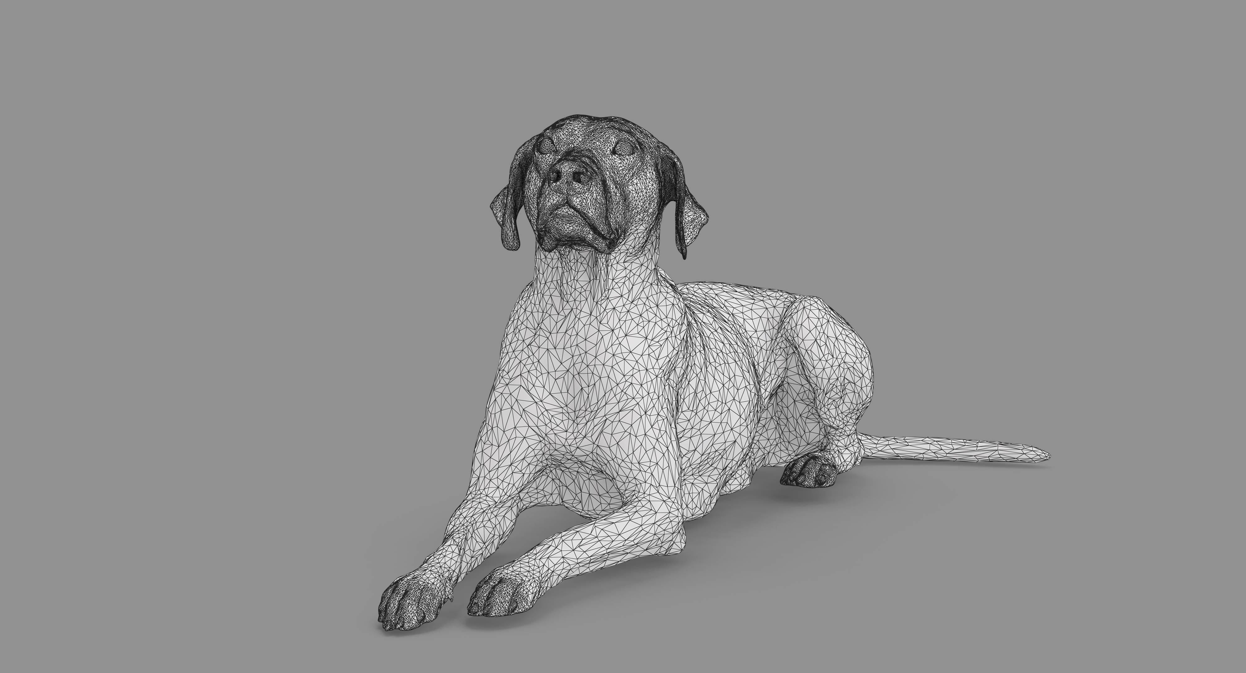 Dalmatian Lying Dog Low-poly 3D model_44