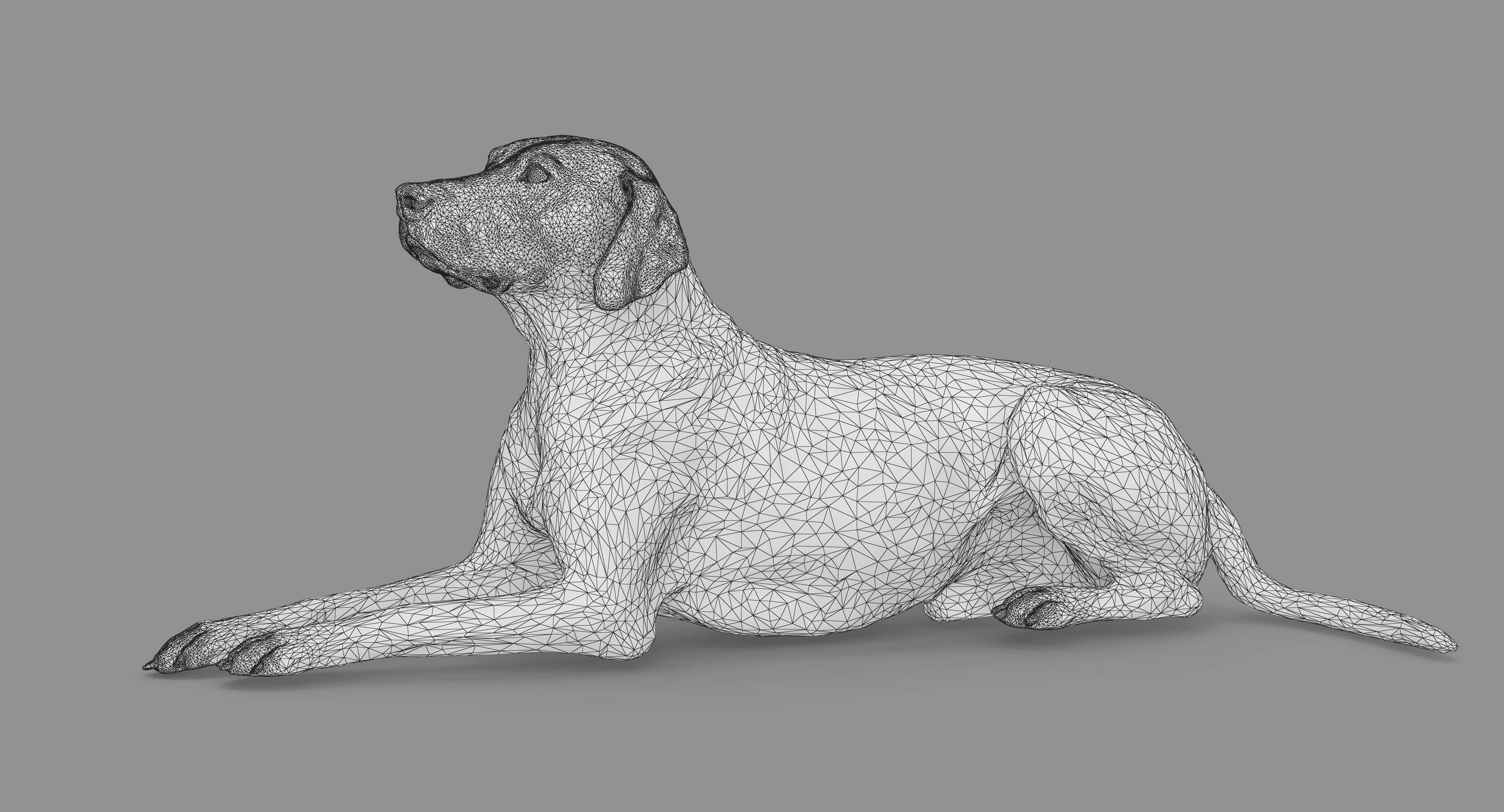 Dalmatian Lying Dog Low-poly 3D model_84