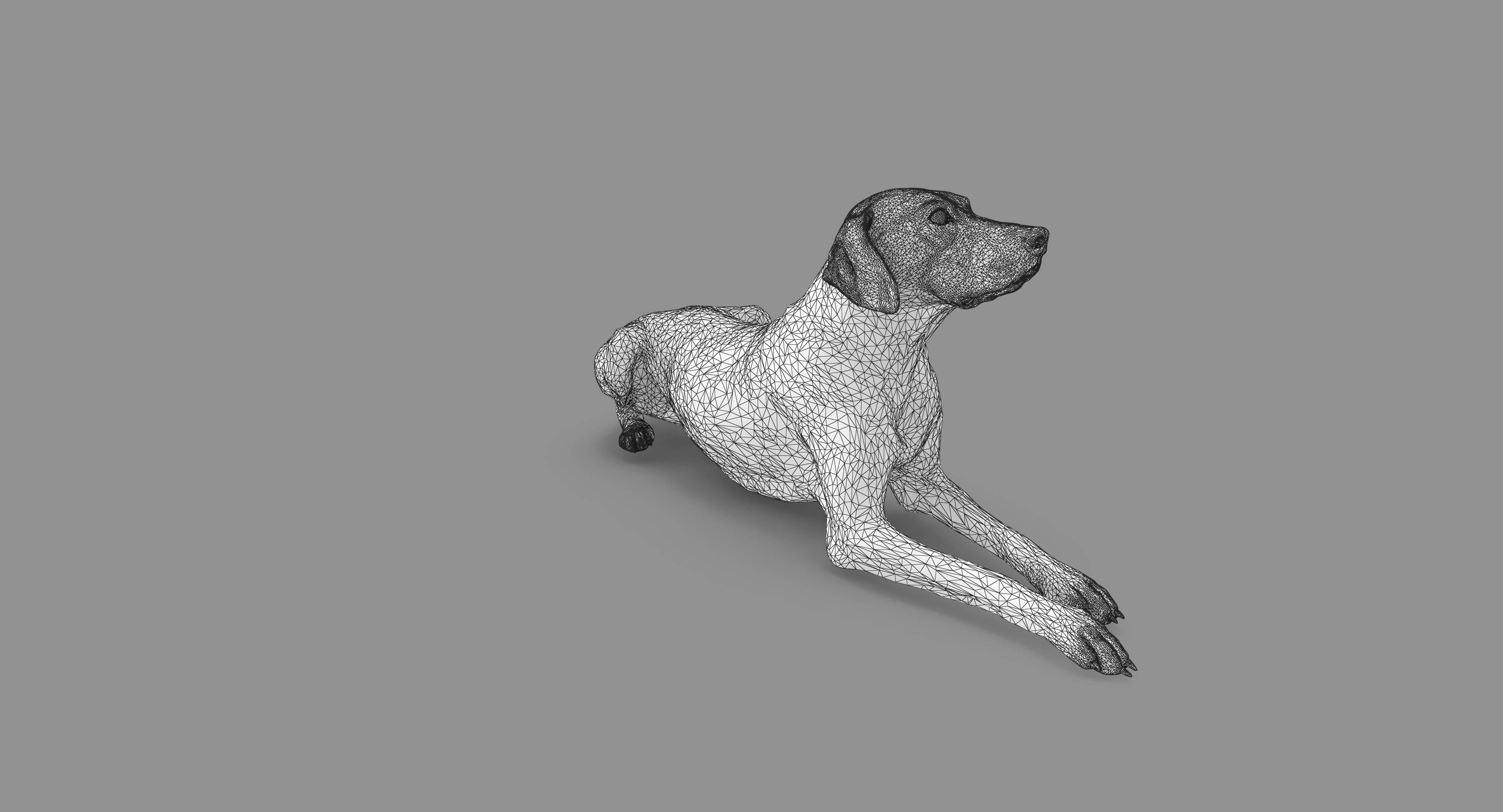 Dalmatian Lying Dog Low-poly 3D model_90