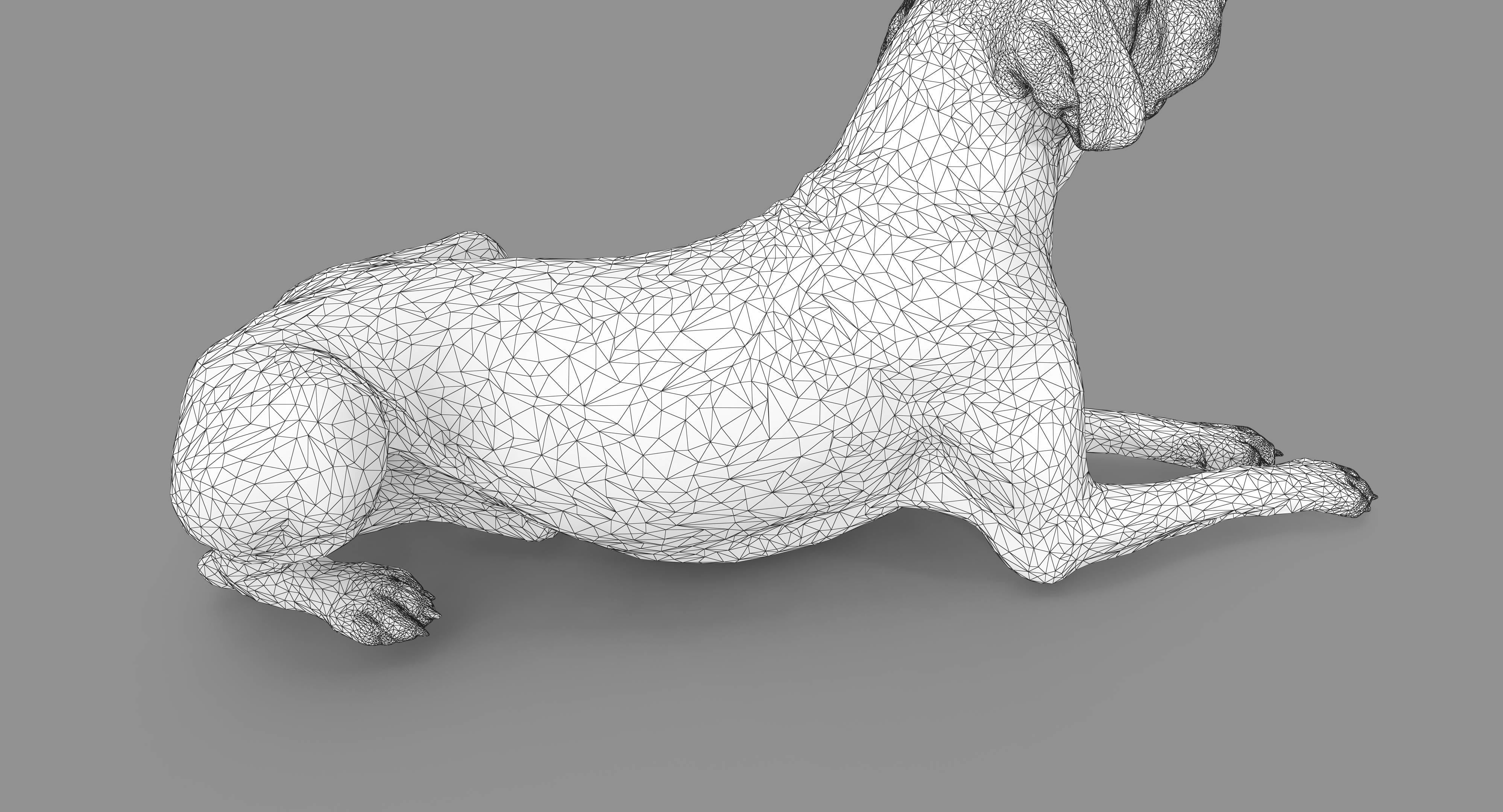 Dalmatian Lying Dog Low-poly 3D model_114