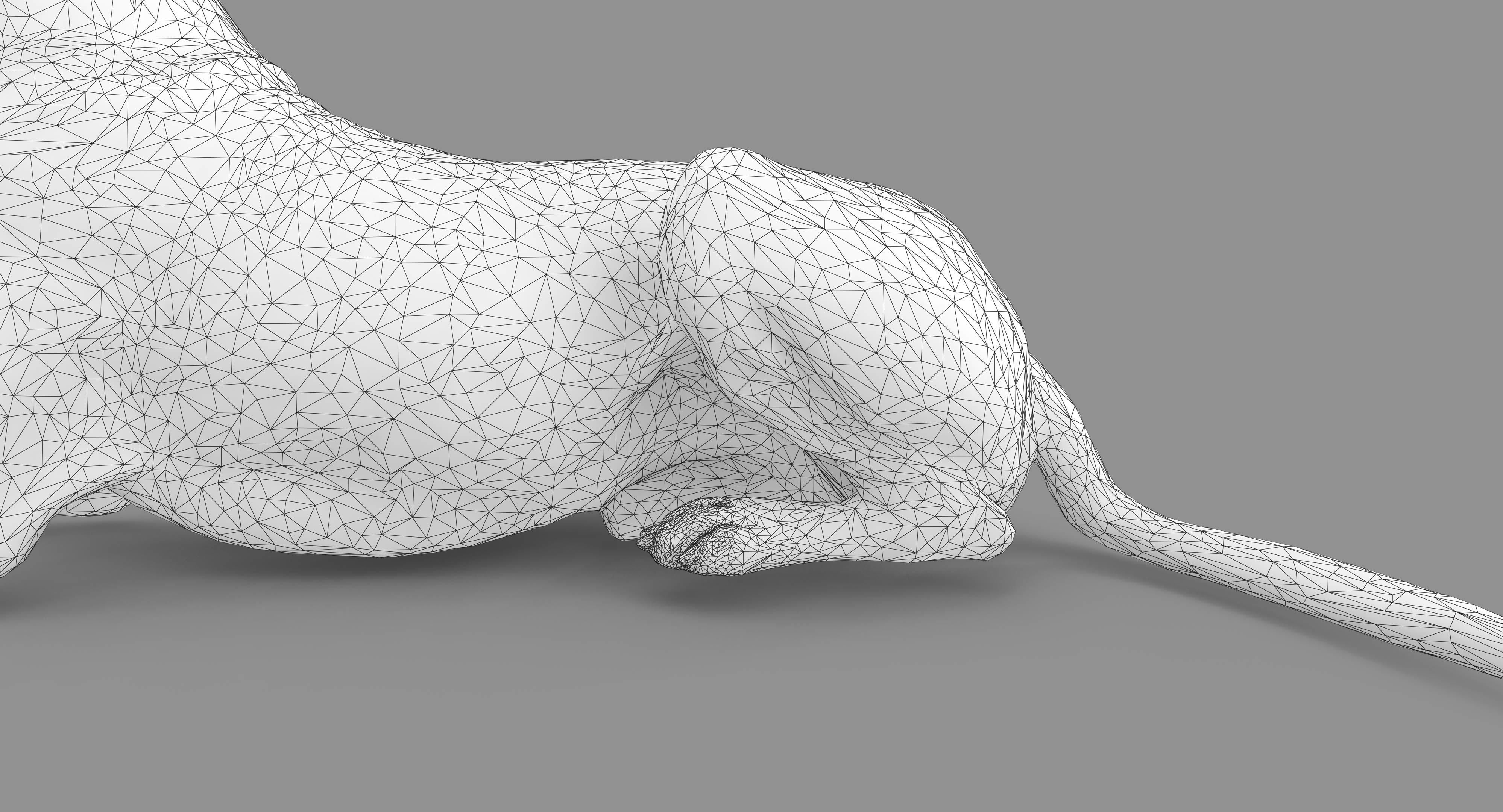 Dalmatian Lying Dog Low-poly 3D model_116