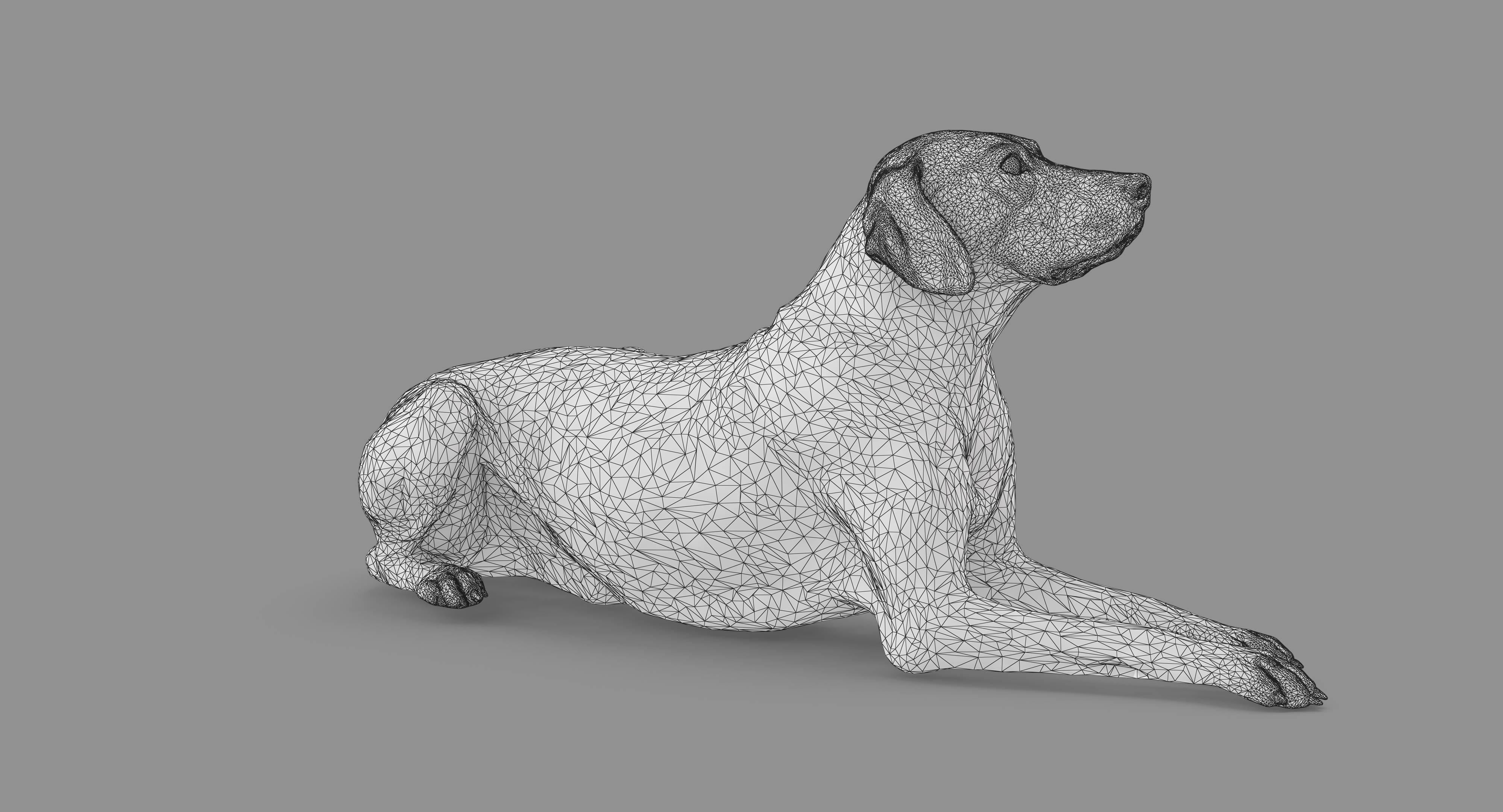 Dalmatian Lying Dog Low-poly 3D model_54