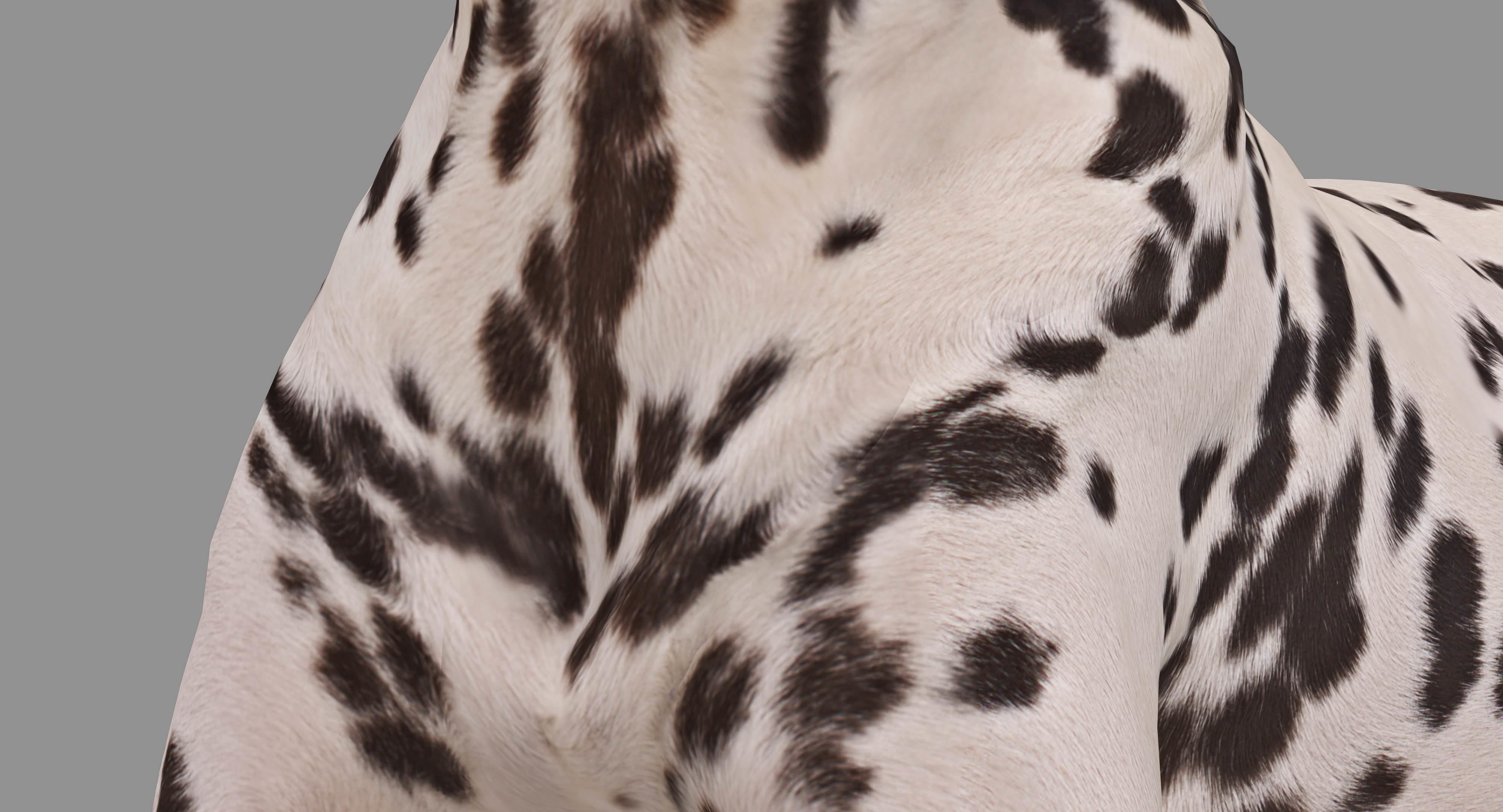 Dalmatian Lying Dog Low-poly 3D model_9