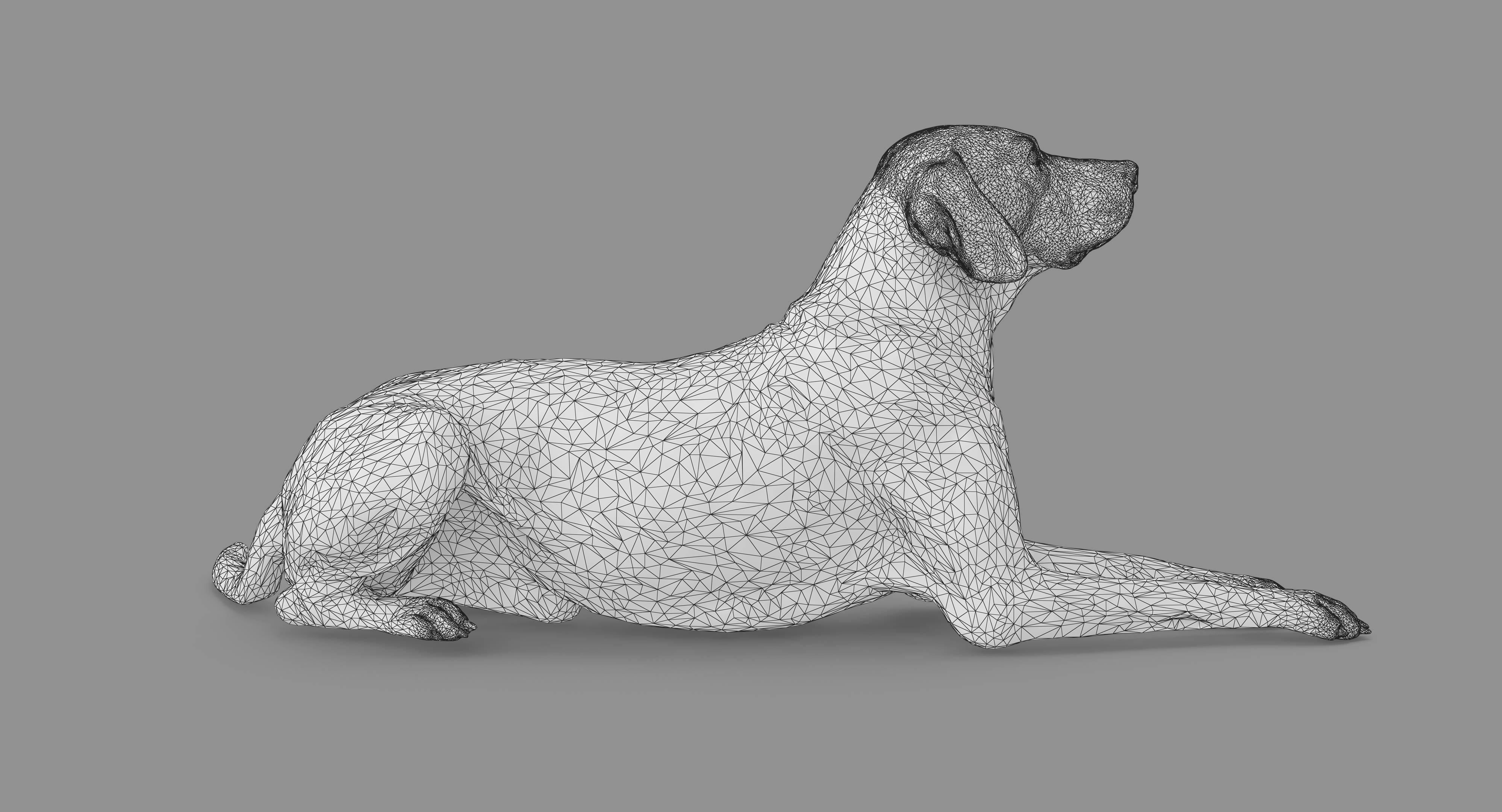 Dalmatian Lying Dog Low-poly 3D model_58