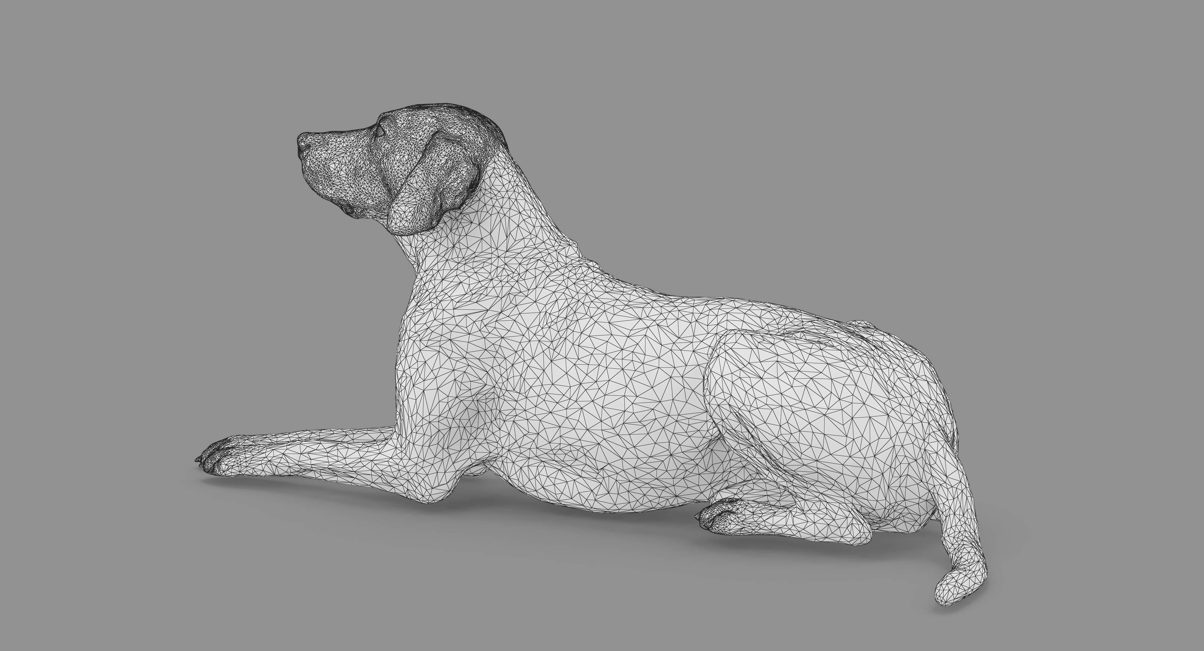 Dalmatian Lying Dog Low-poly 3D model_78