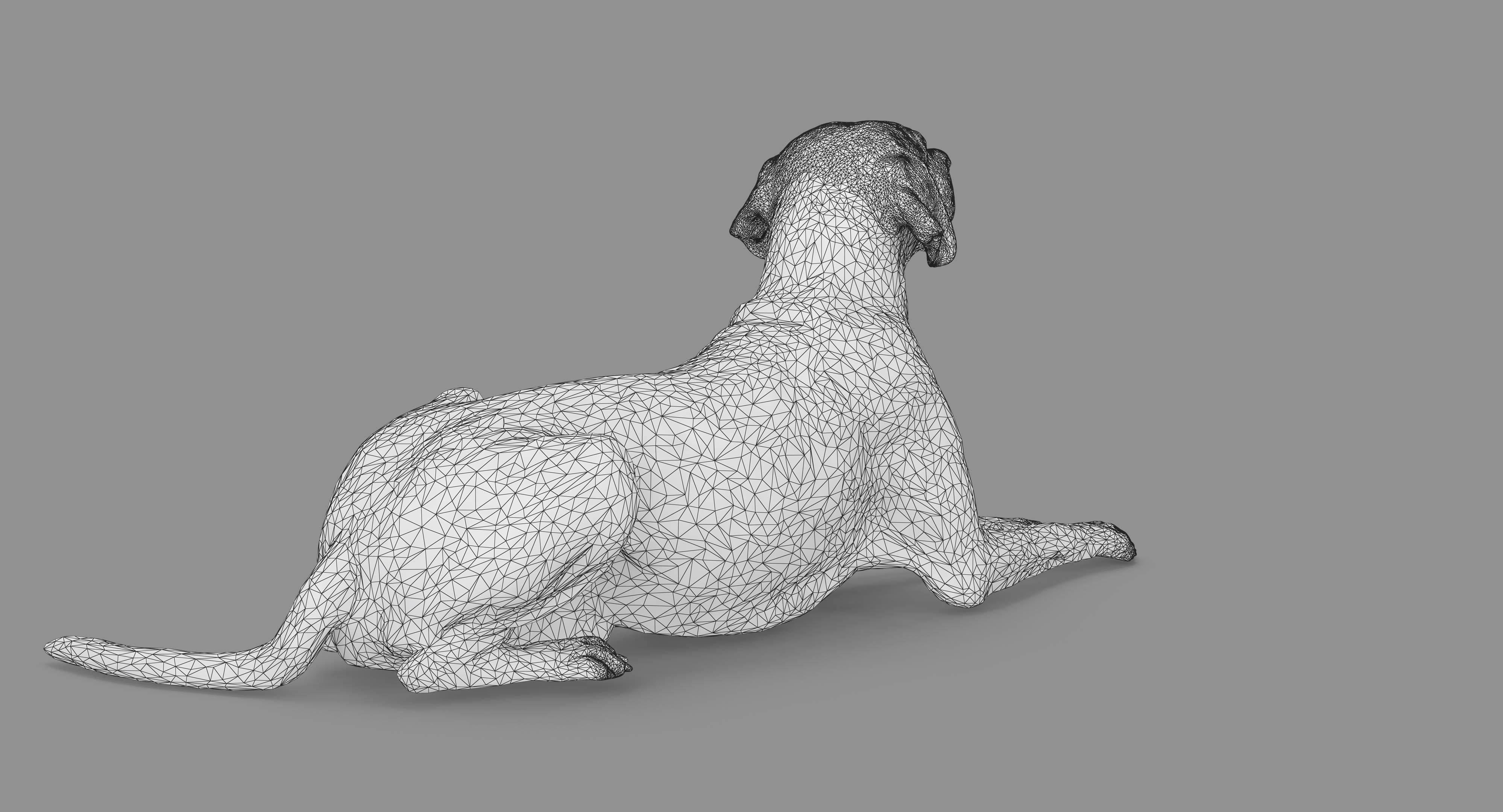 Dalmatian Lying Dog Low-poly 3D model_64