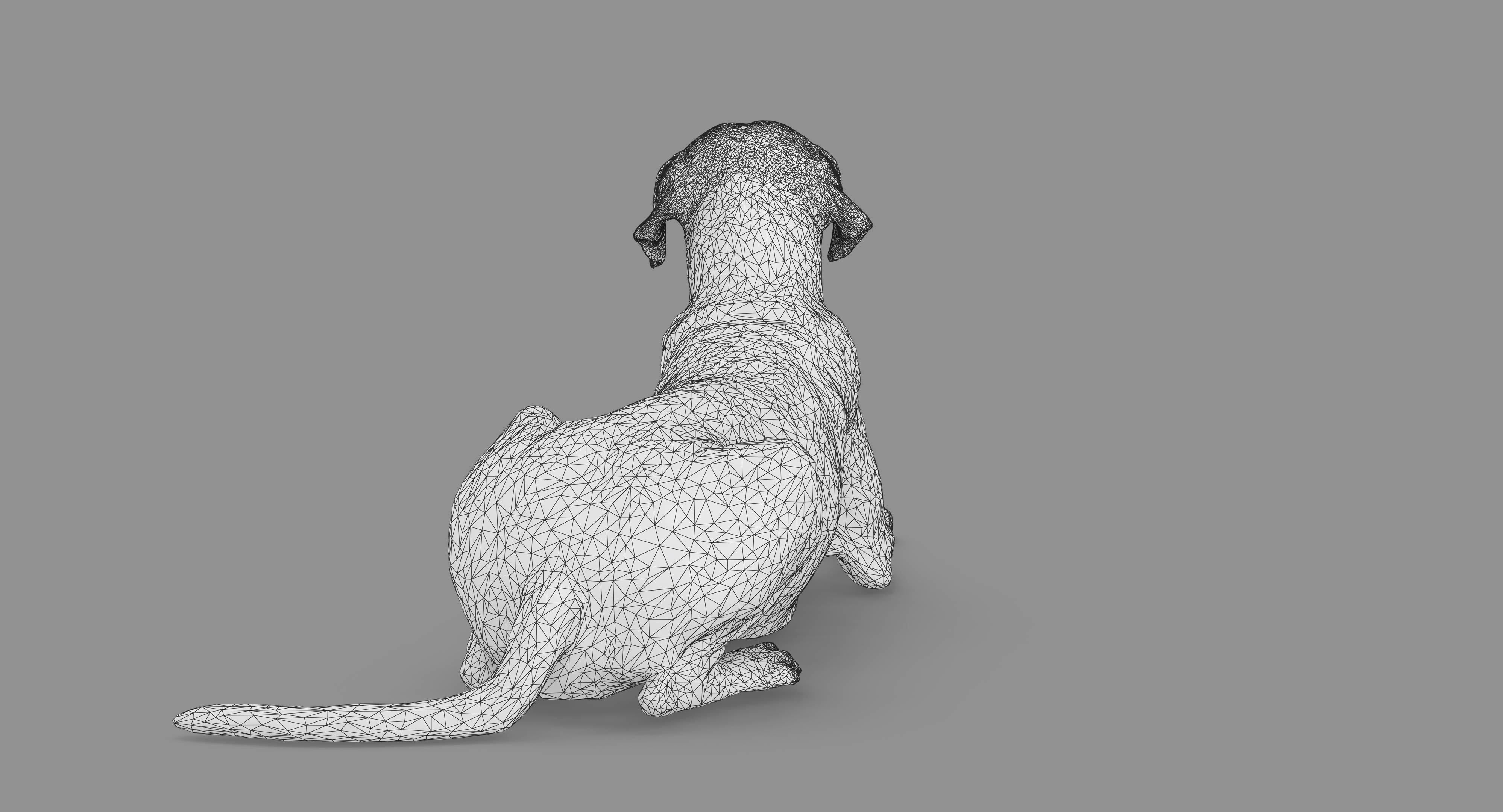 Dalmatian Lying Dog Low-poly 3D model_68