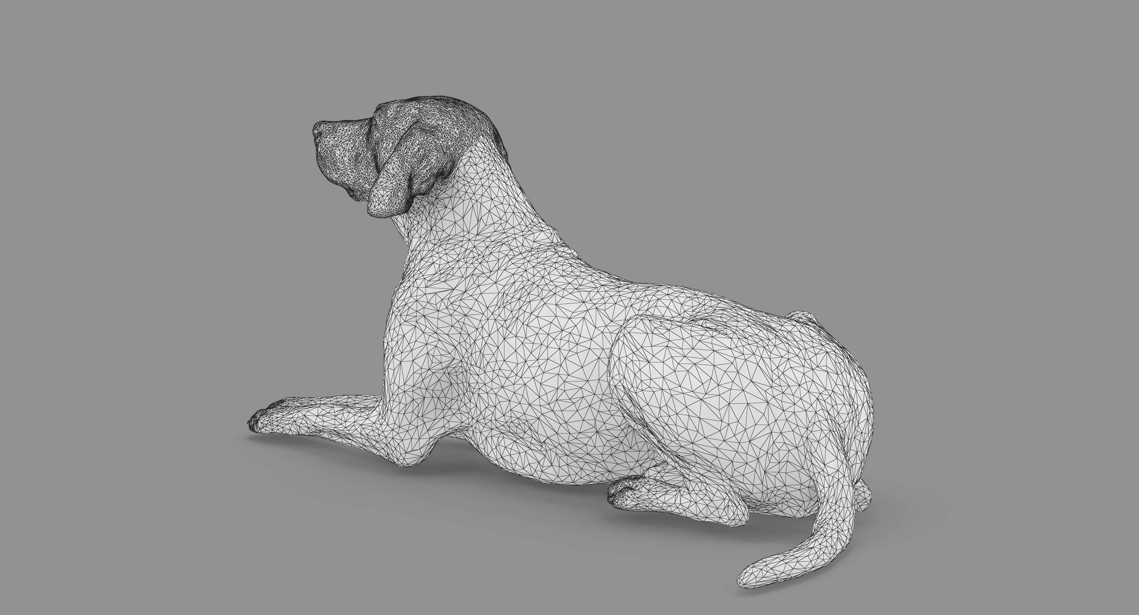Dalmatian Lying Dog Low-poly 3D model_76