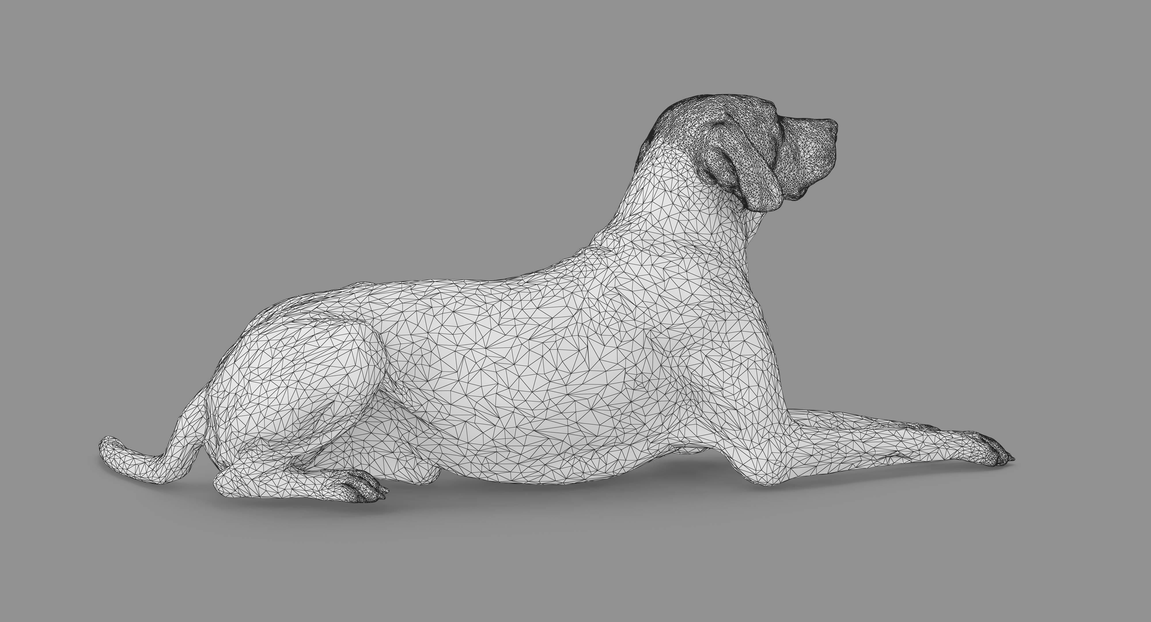 Dalmatian Lying Dog Low-poly 3D model_60