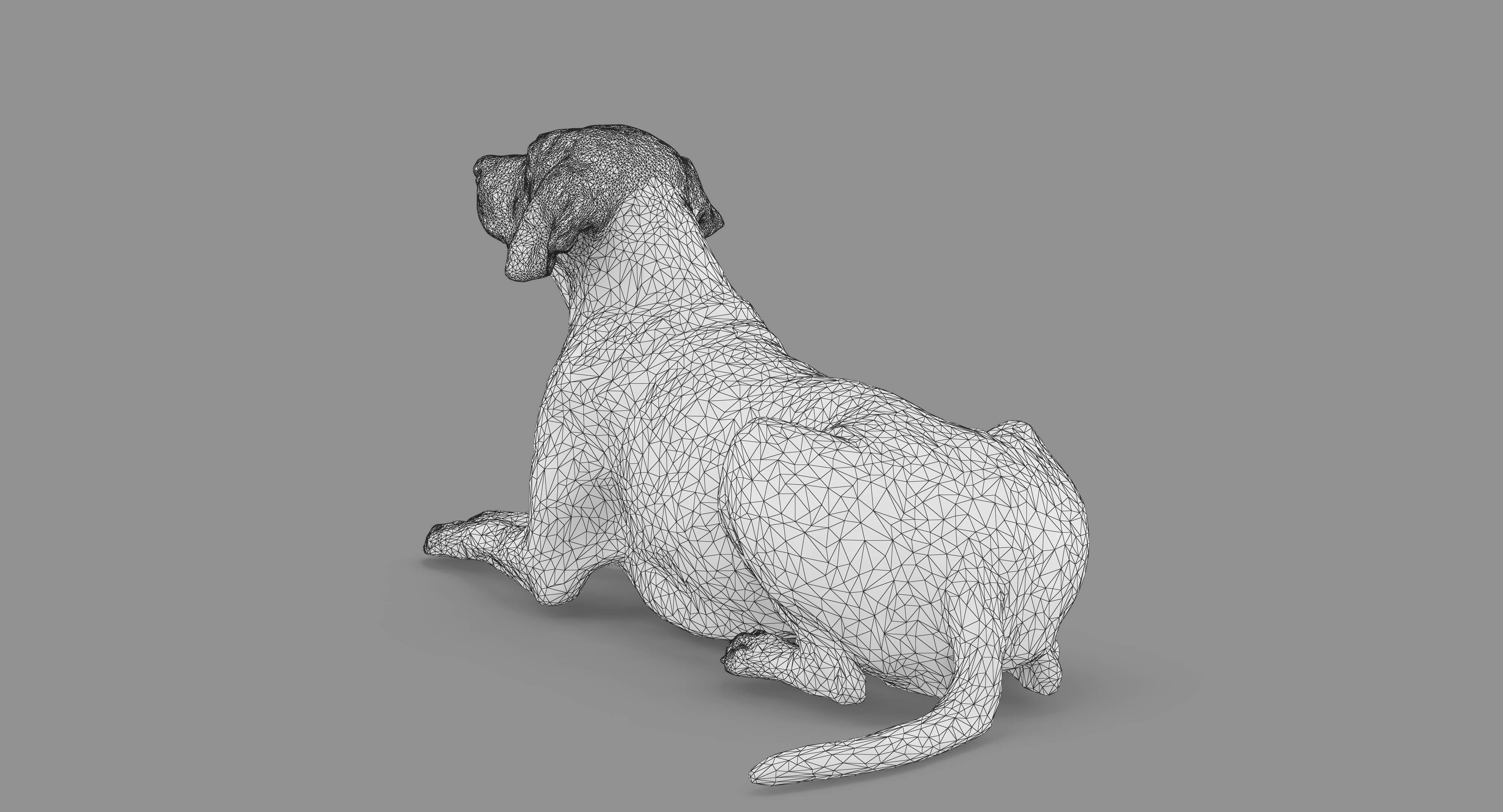 Dalmatian Lying Dog Low-poly 3D model_74