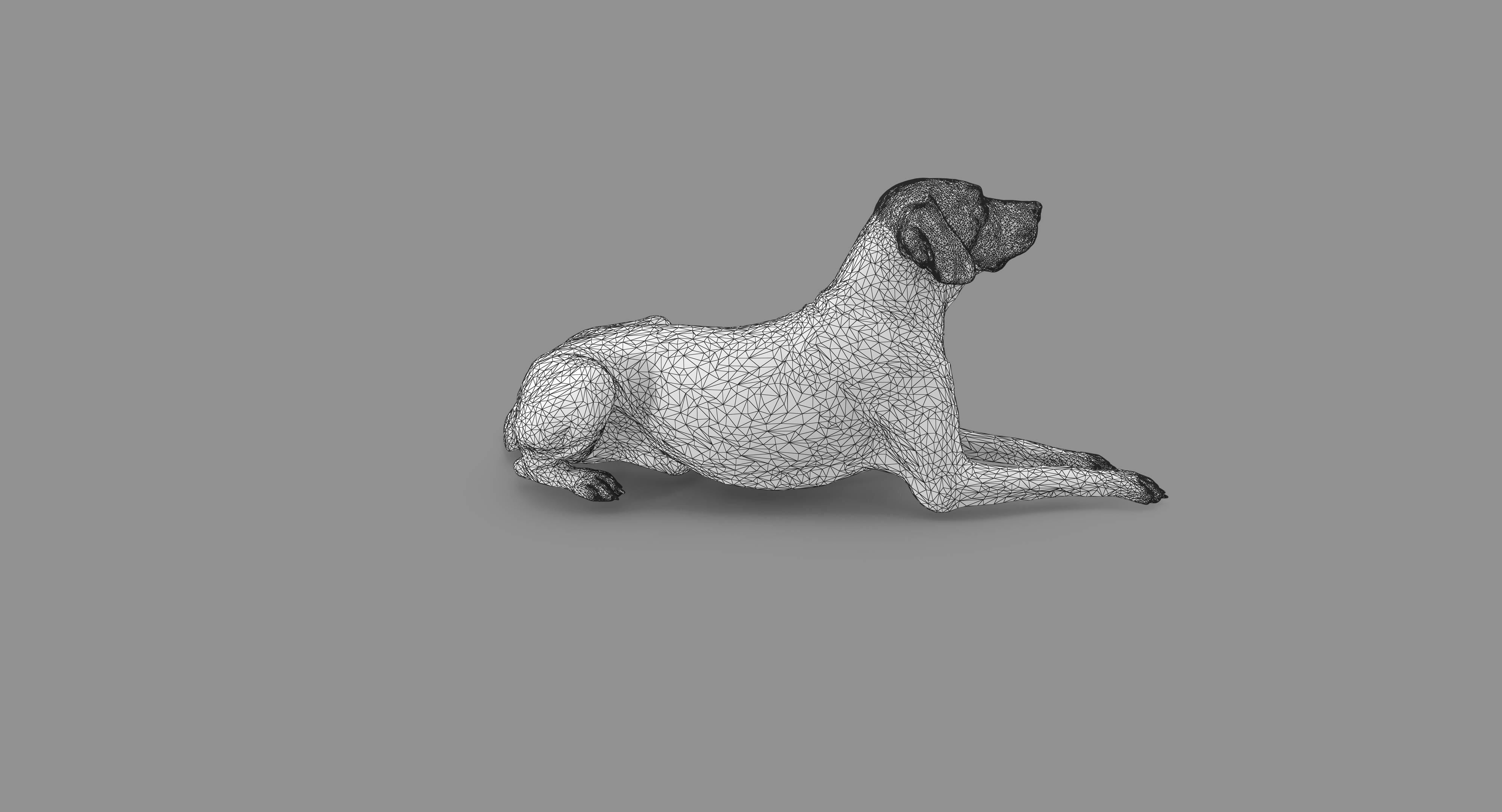 Dalmatian Lying Dog Low-poly 3D model_96