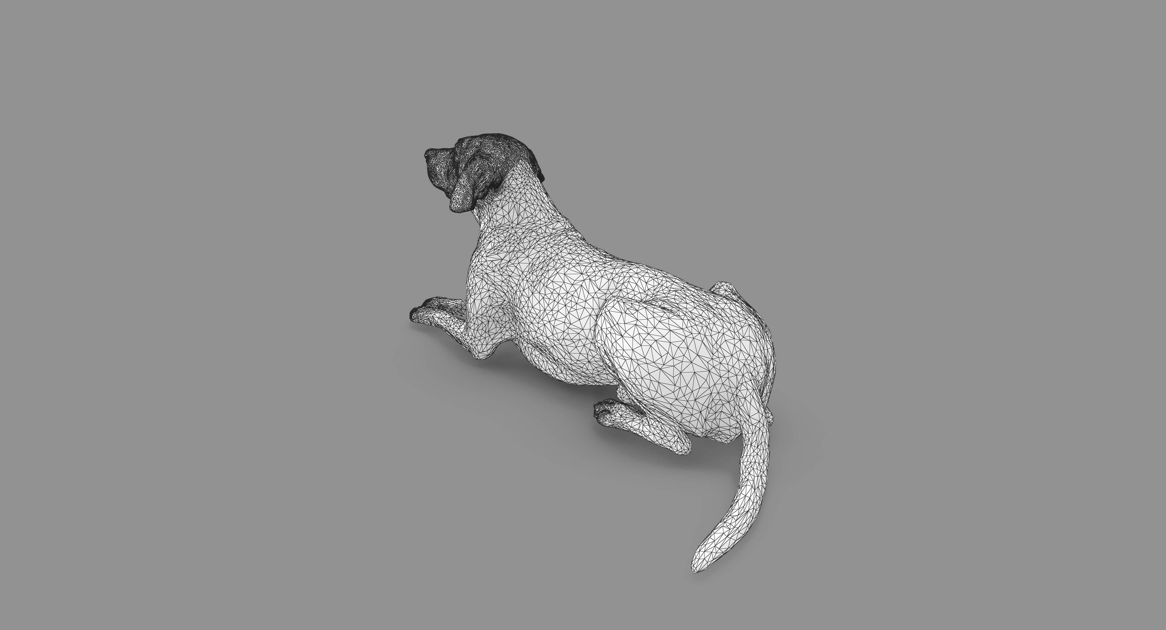 Dalmatian Lying Dog Low-poly 3D model_94