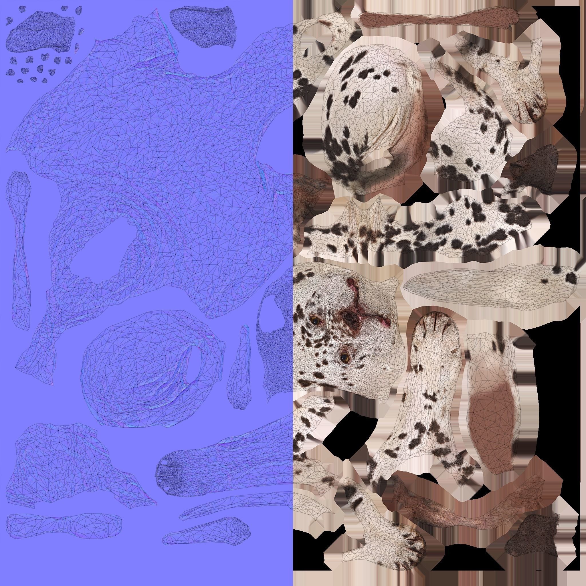 Dalmatian Lying Dog Low-poly 3D model_6