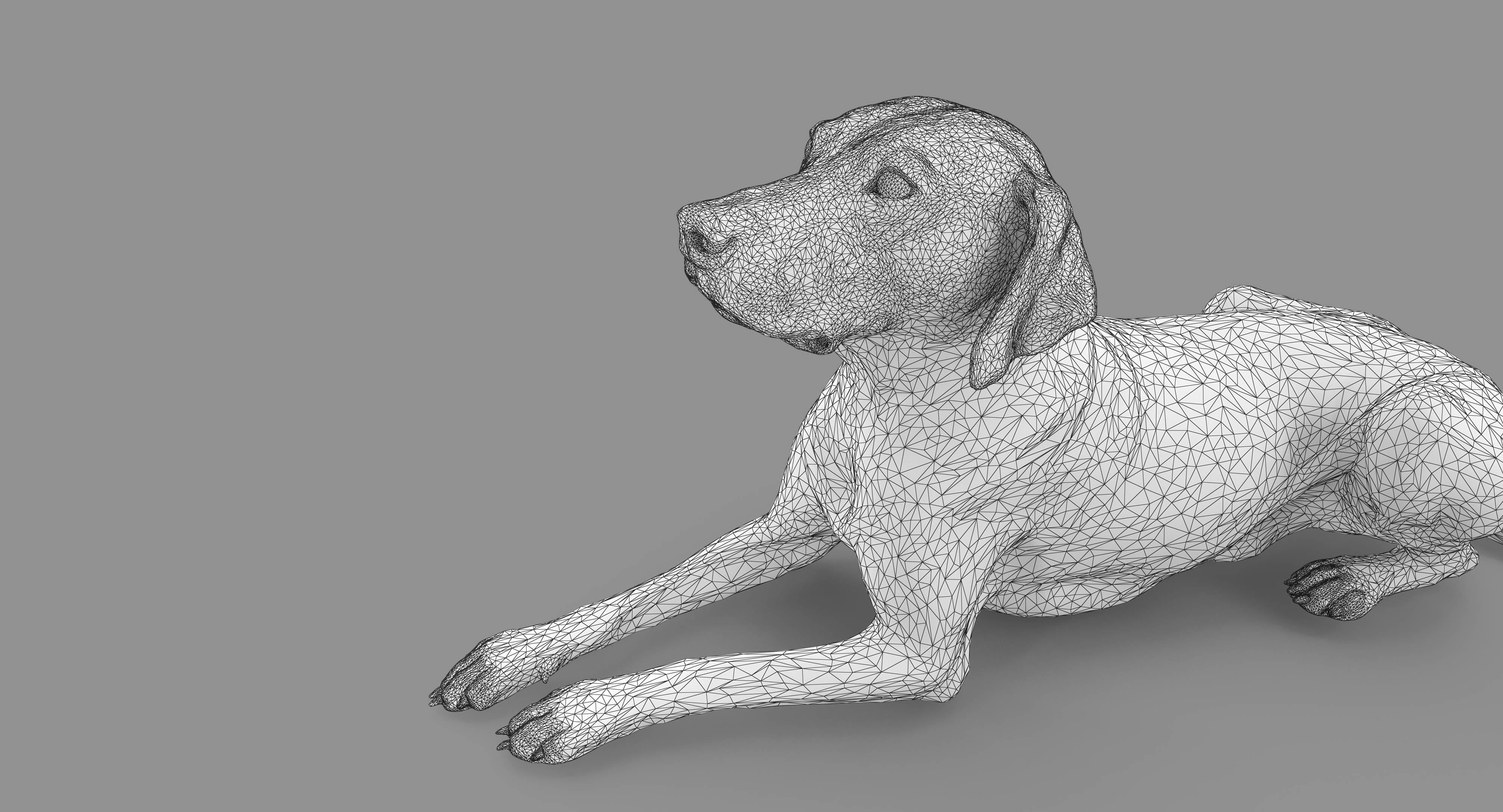 Dalmatian Lying Dog Low-poly 3D model_100