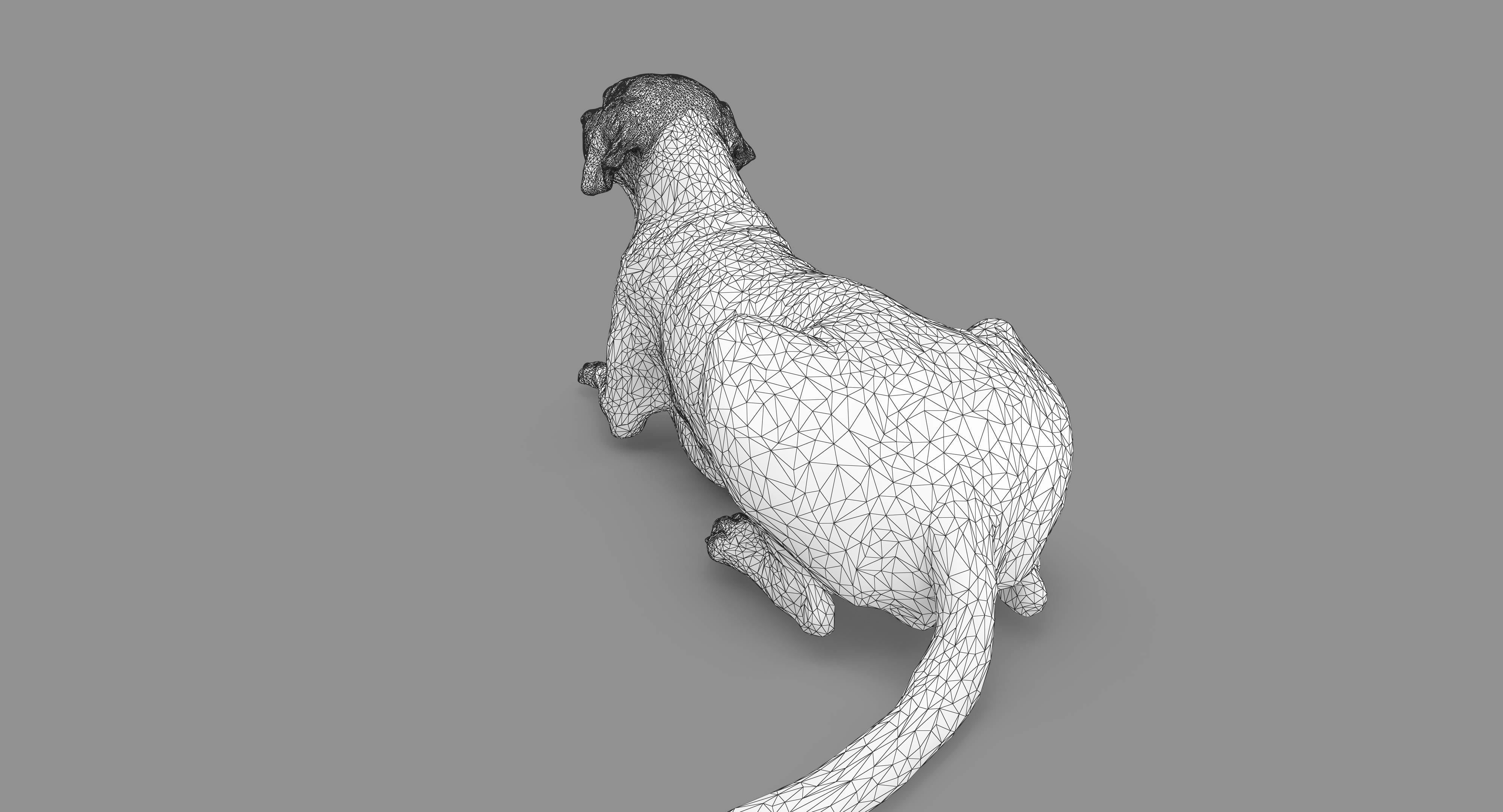 Dalmatian Lying Dog Low-poly 3D model_112