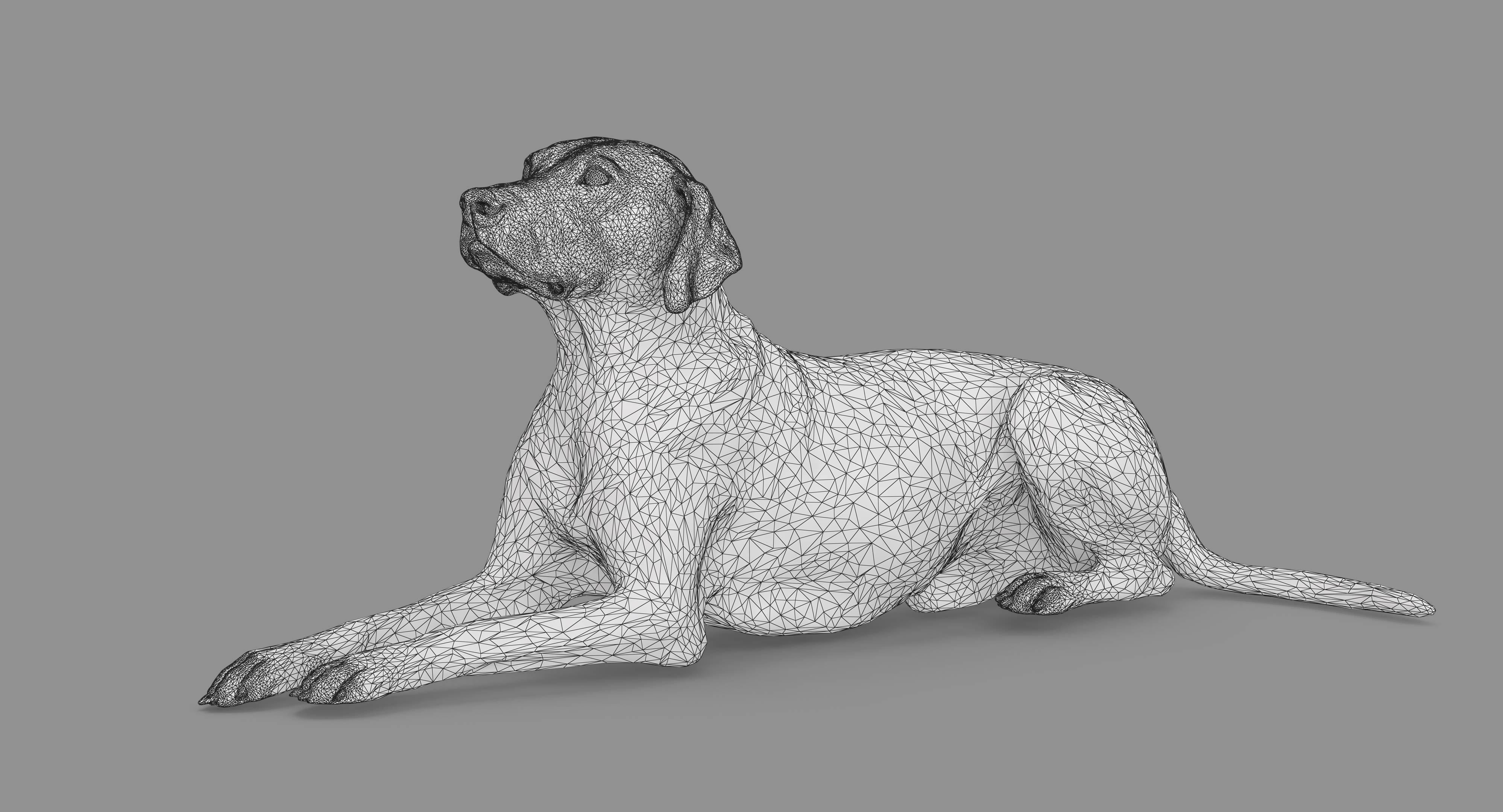 Dalmatian Lying Dog Low-poly 3D model_86