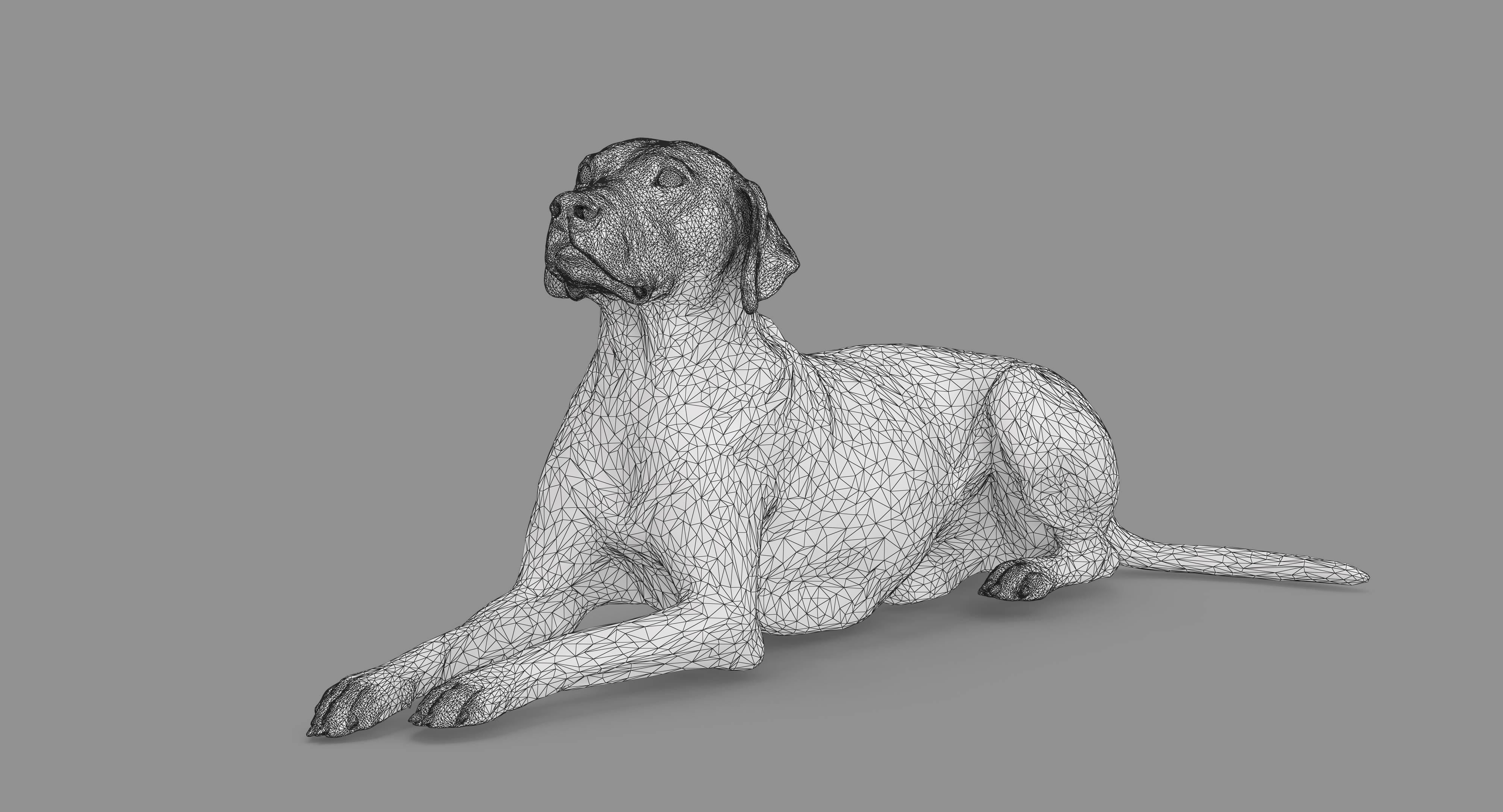 Dalmatian Lying Dog Low-poly 3D model_42