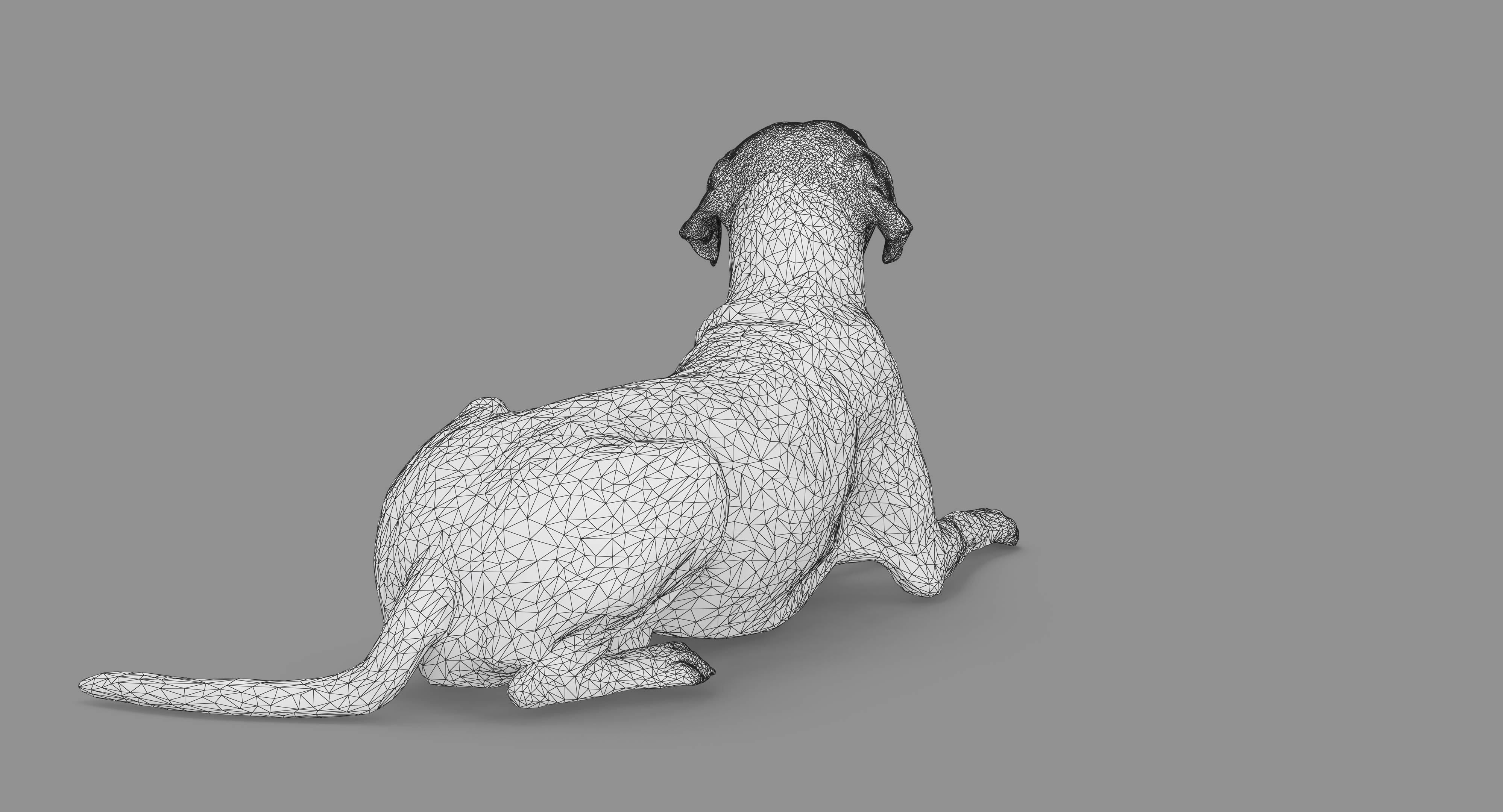 Dalmatian Lying Dog Low-poly 3D model_66