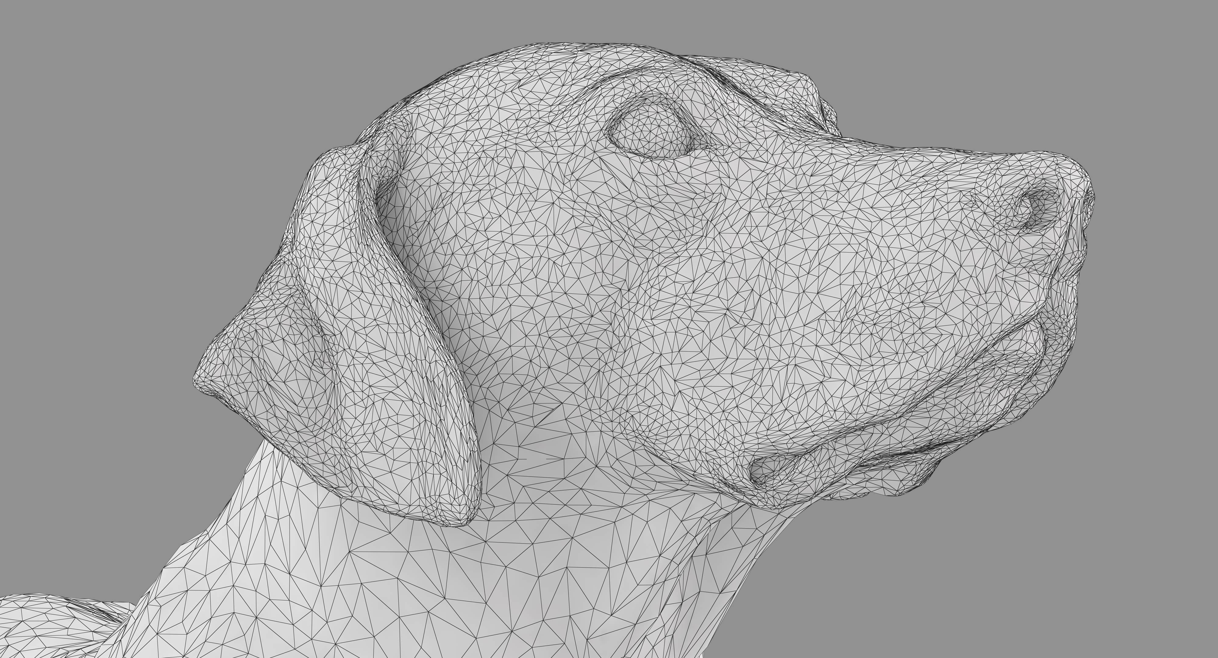 Dalmatian Lying Dog Low-poly 3D model_14