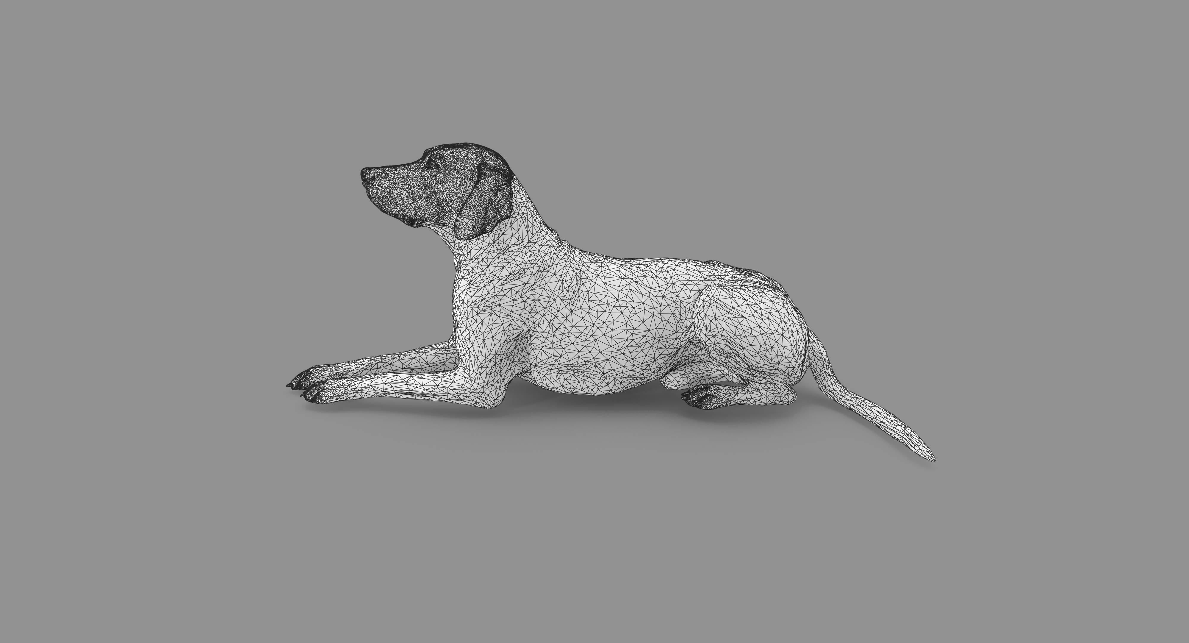 Dalmatian Lying Dog Low-poly 3D model_92