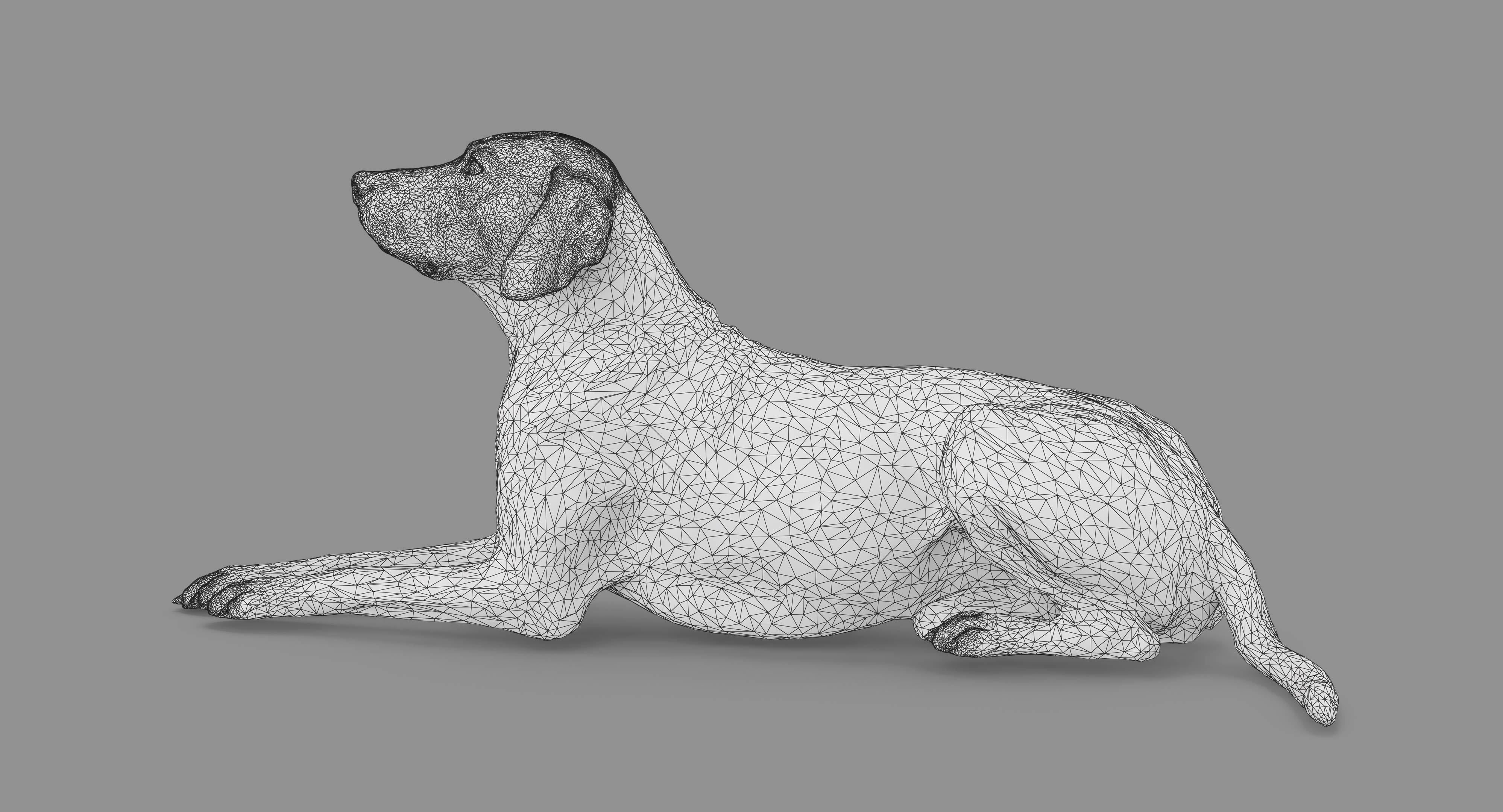 Dalmatian Lying Dog Low-poly 3D model_80