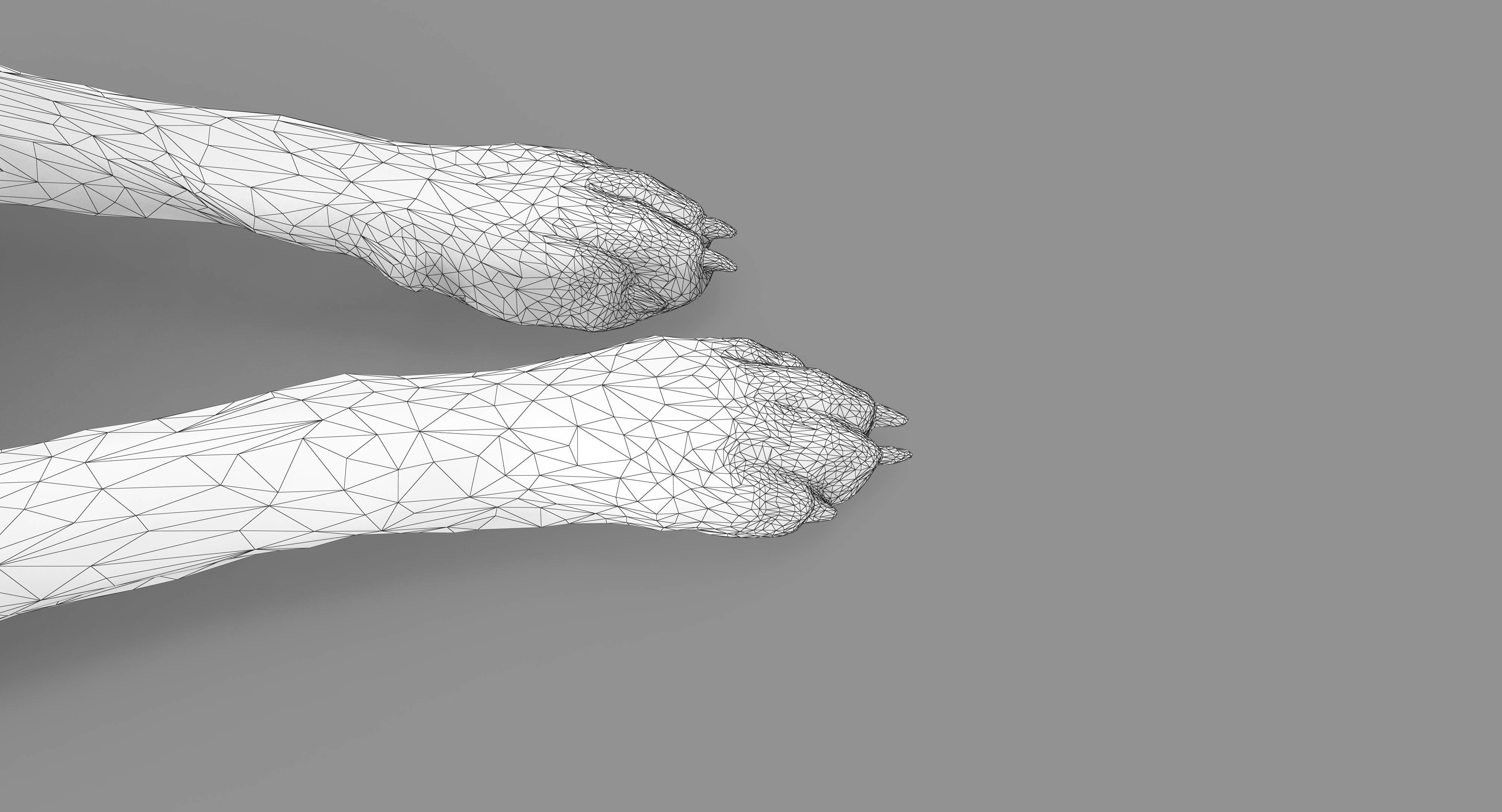 Dalmatian Lying Dog Low-poly 3D model_118