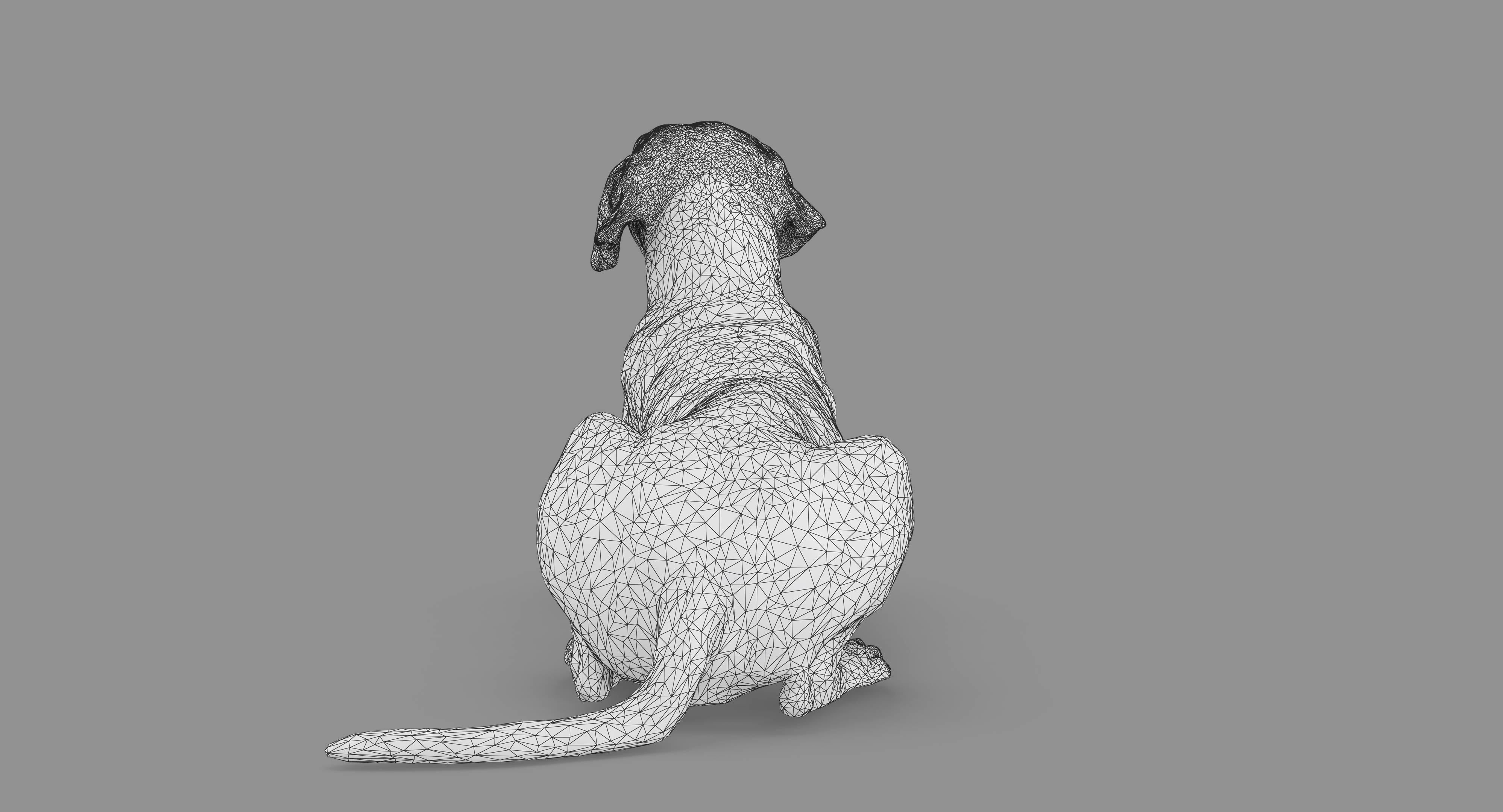 Dalmatian Lying Dog Low-poly 3D model_70