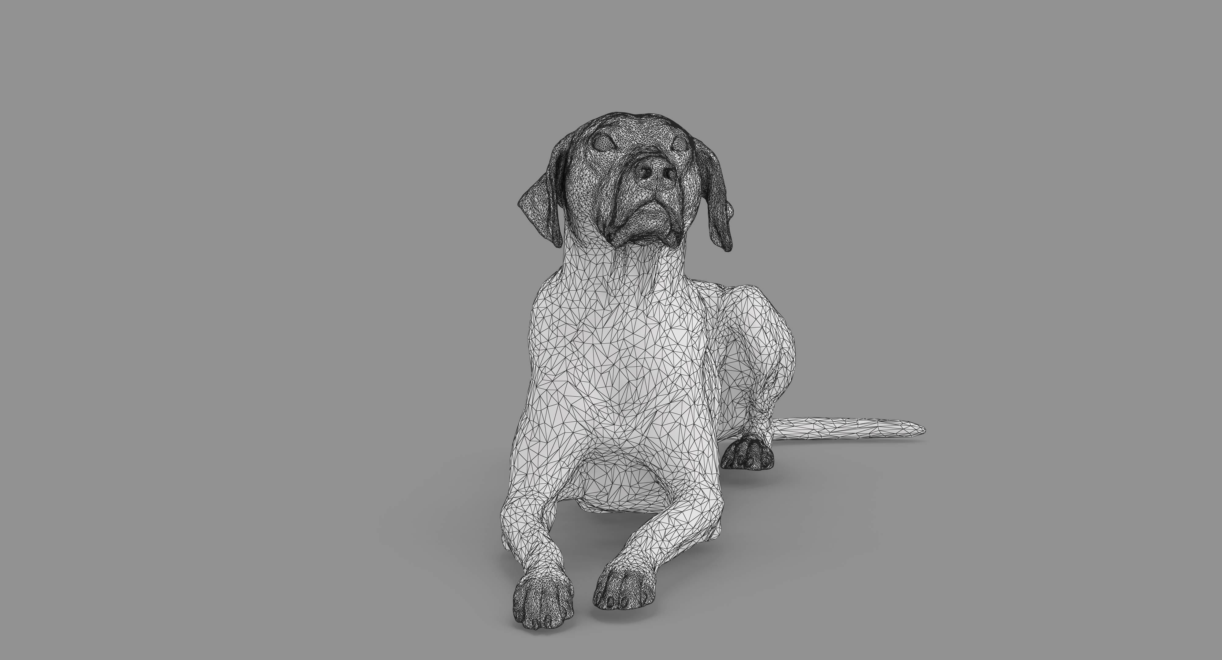 Dalmatian Lying Dog Low-poly 3D model_46