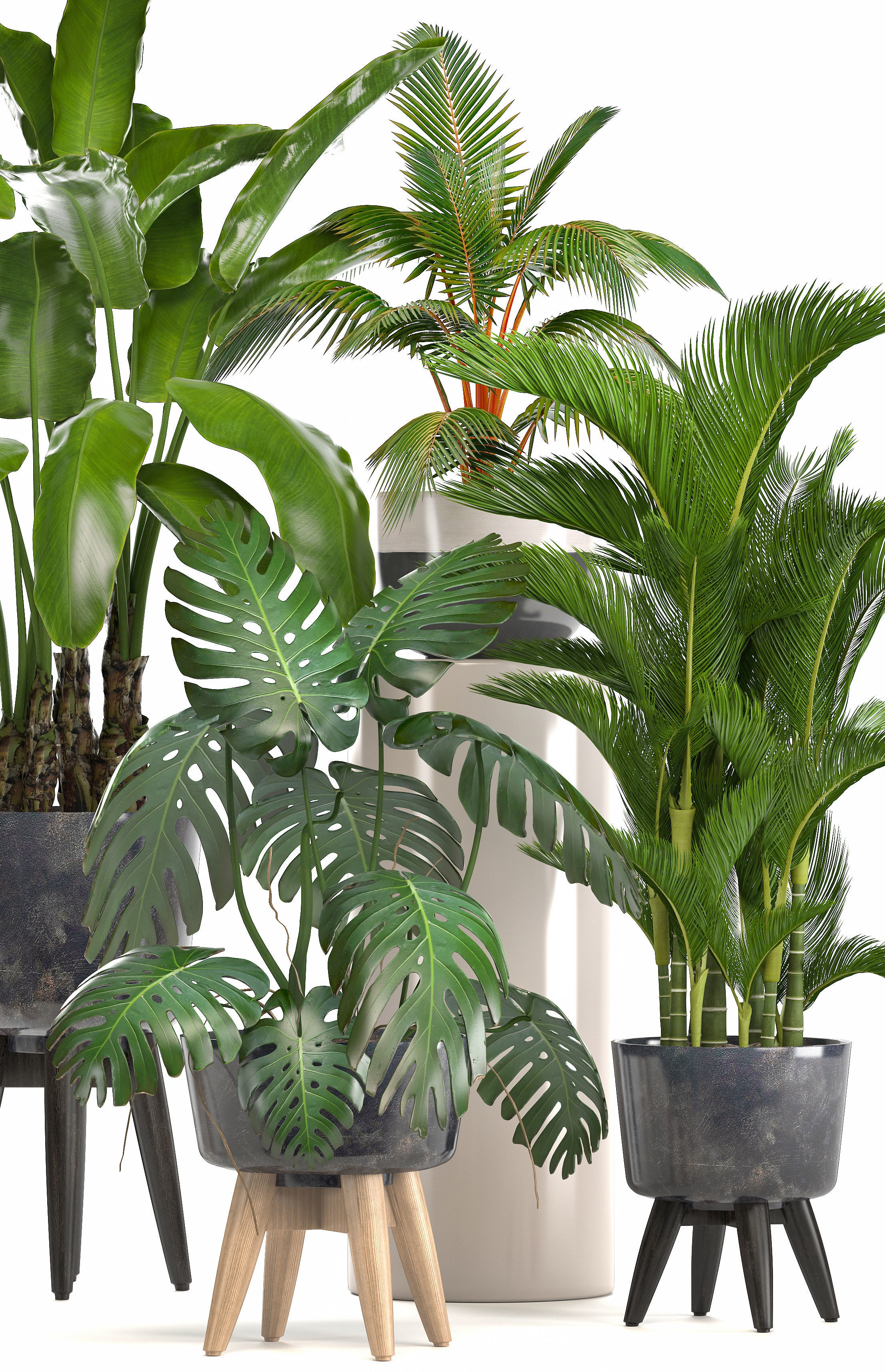 Collection of ornamental plants in pots 3D model_11