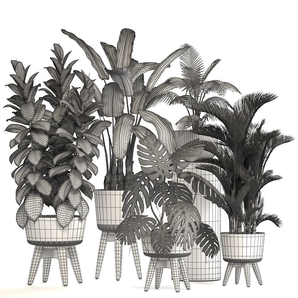 Collection of ornamental plants in pots 3D model_7