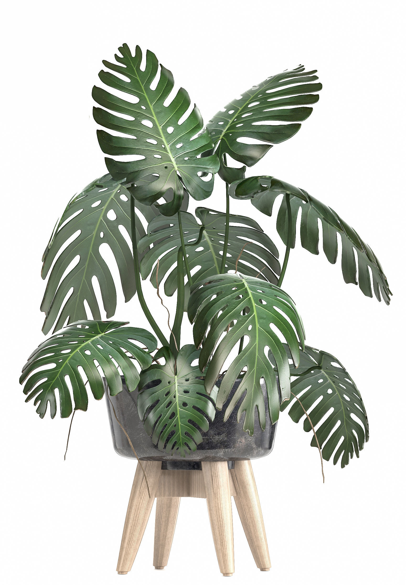 Collection of ornamental plants in pots 3D model_4