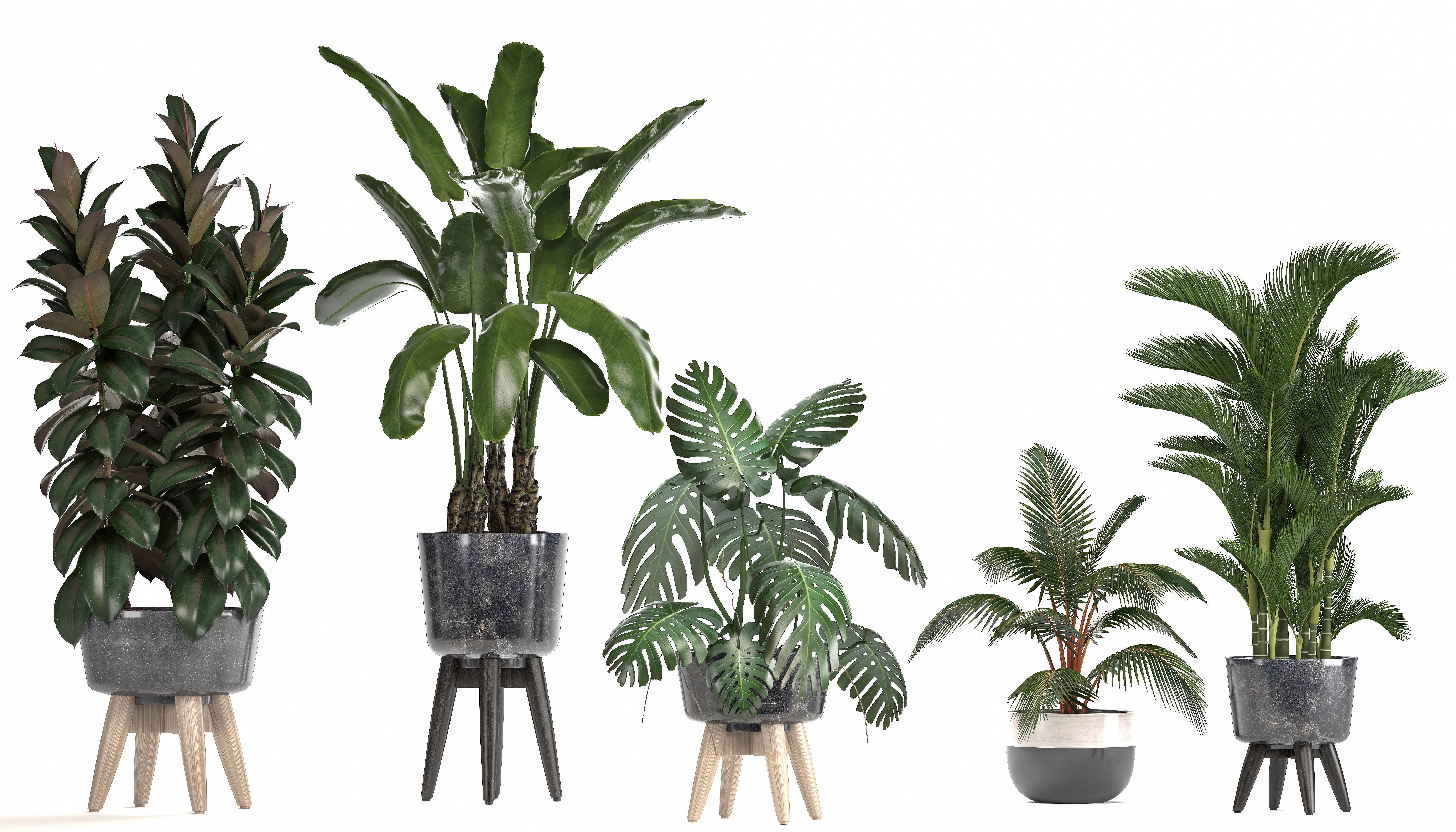 Collection of ornamental plants in pots 3D model_13