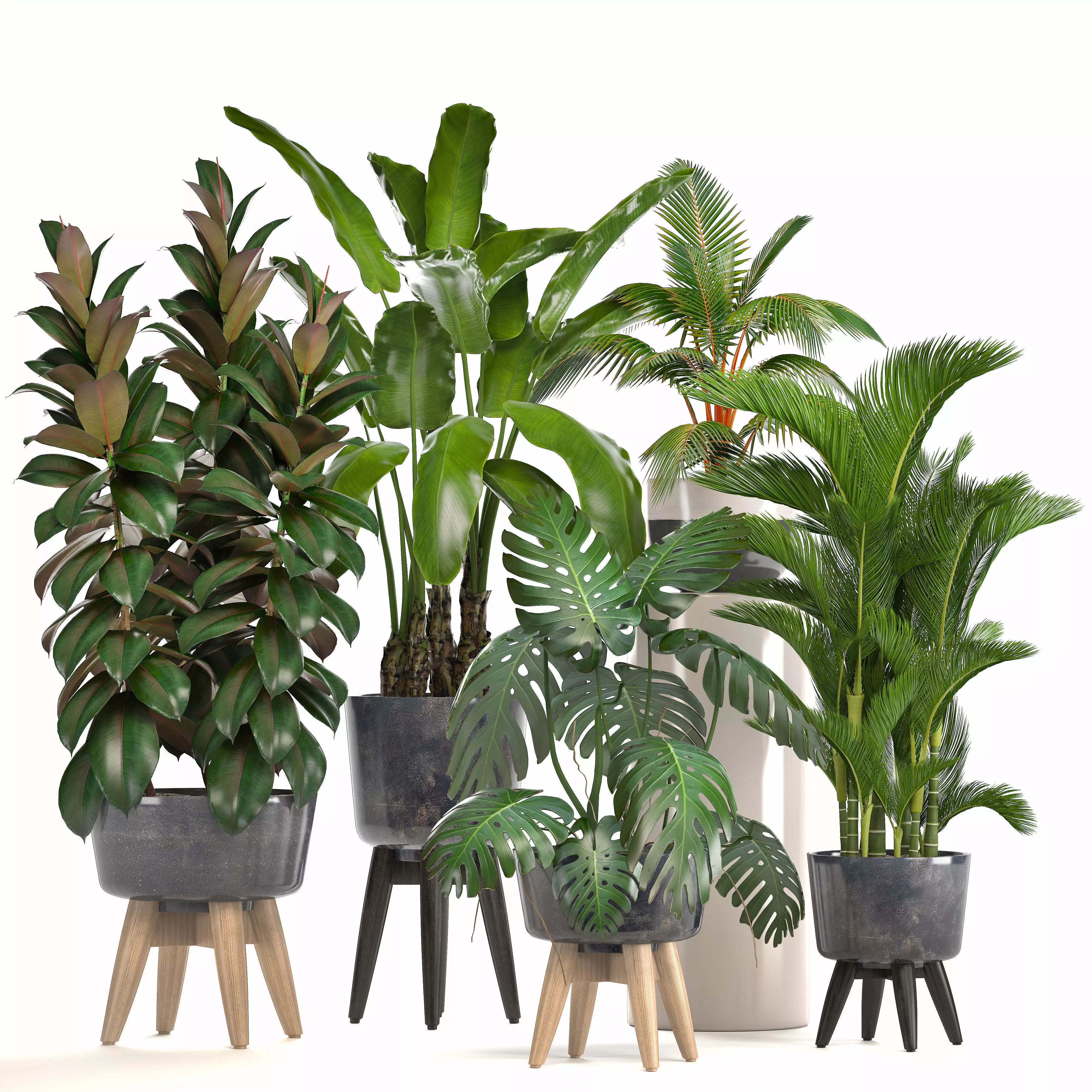 Collection of ornamental plants in pots 3D model_0