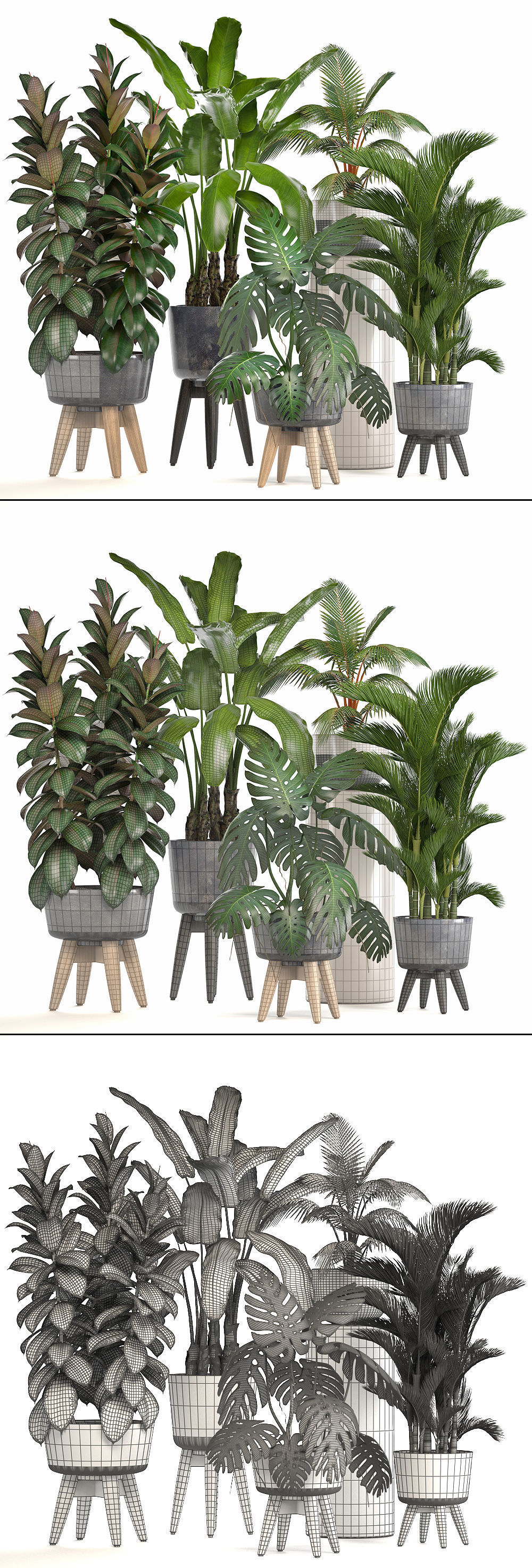 Collection of ornamental plants in pots 3D model_10
