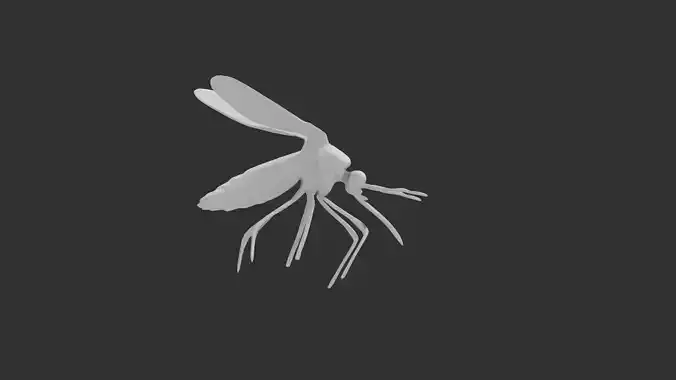 Mosquito 3D model