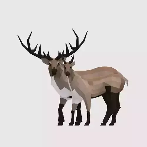 Reindeers polygonal elk and deer