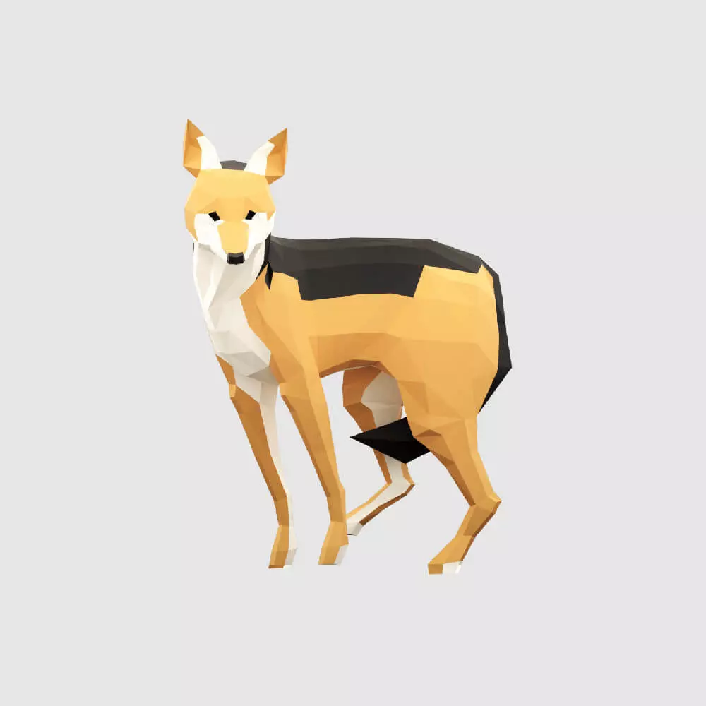 Jackals polygonal wolf Low-poly 3D model