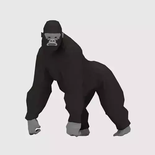 Gorillas gorilla