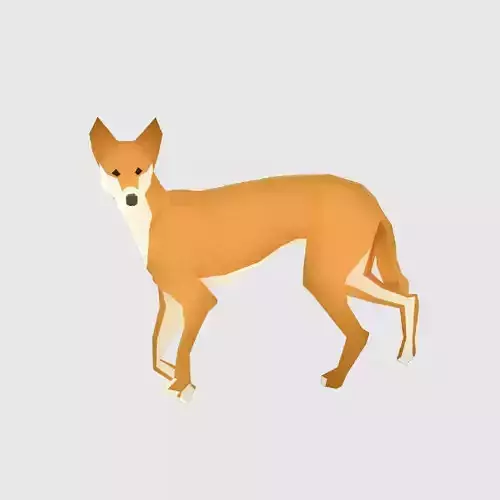 Dingoes orange dog Low-poly 3D model